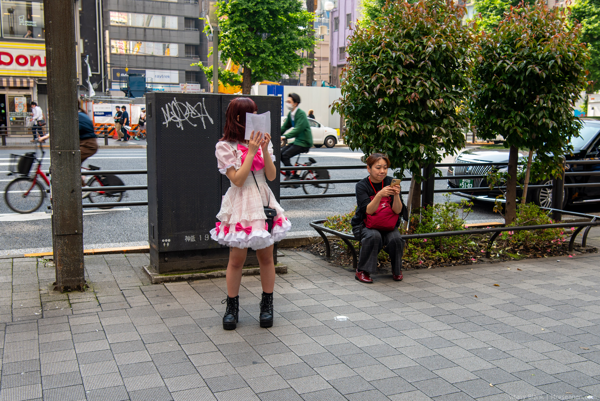 Akihabara-(18)