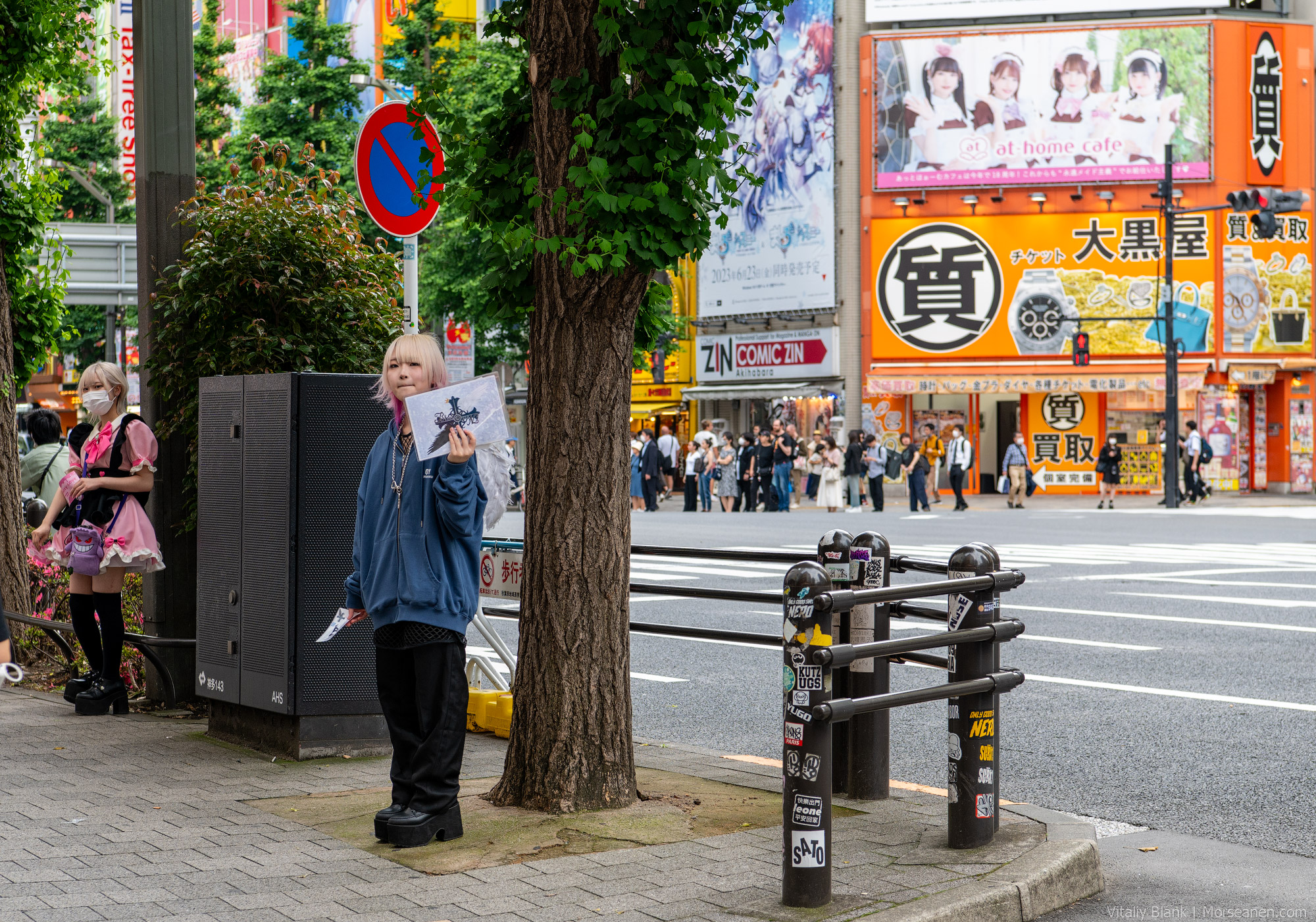 Akihabara-(85)