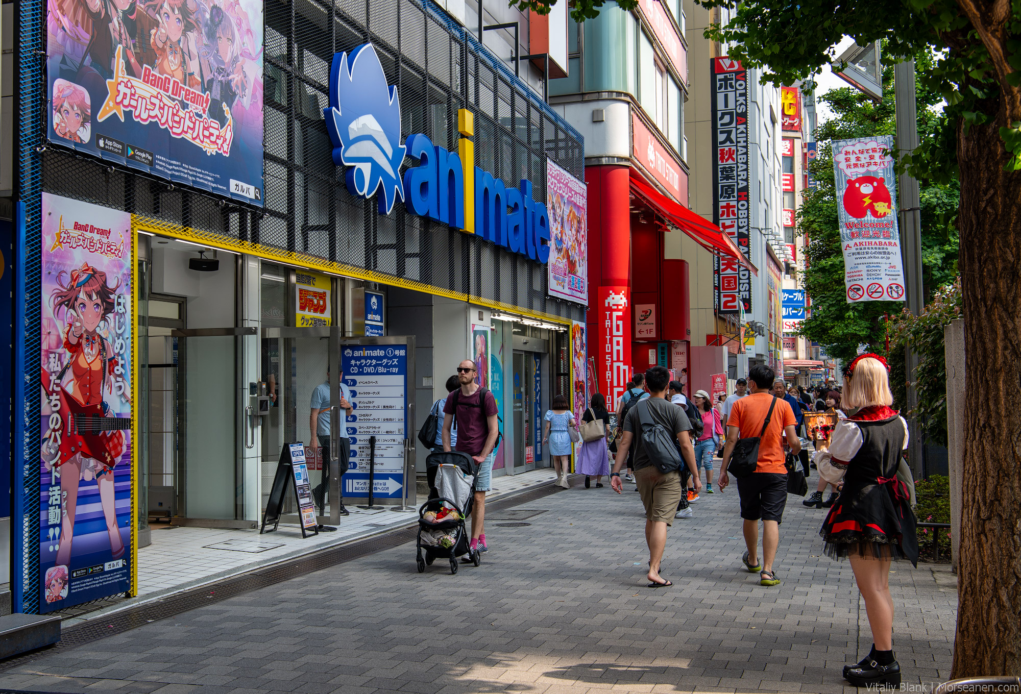 Akihabara-(24)