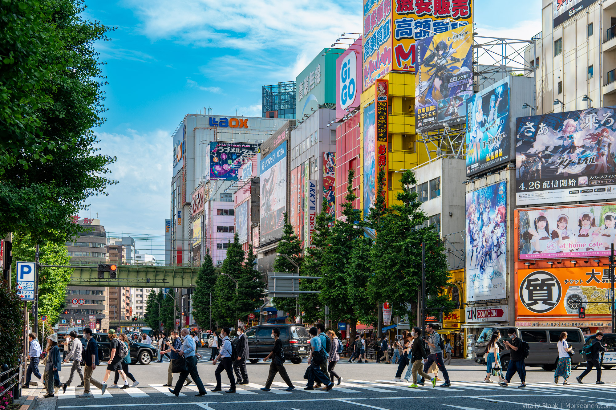 Akihabara-(54)