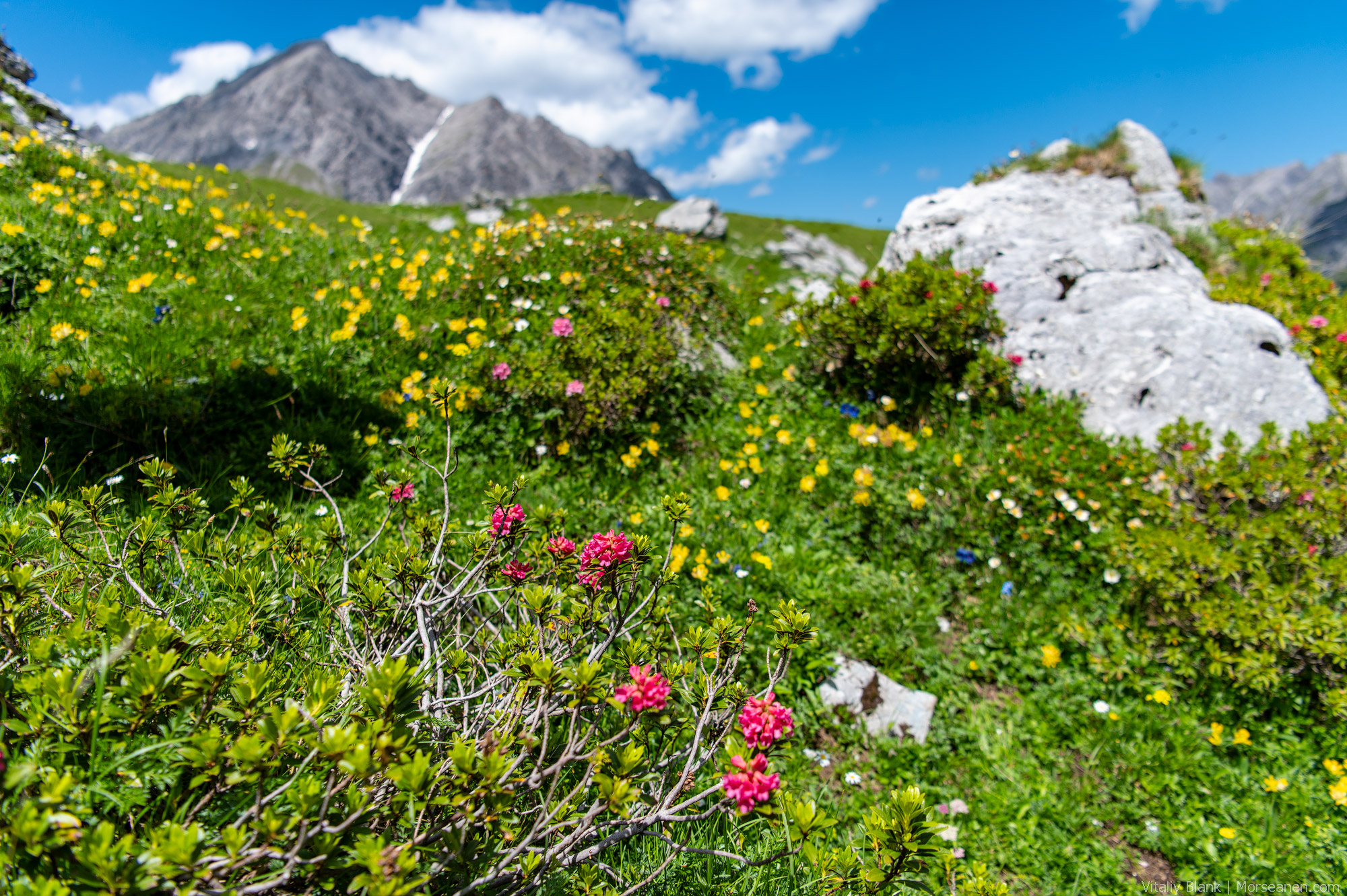 Luenersee-Juli-2023-(7)