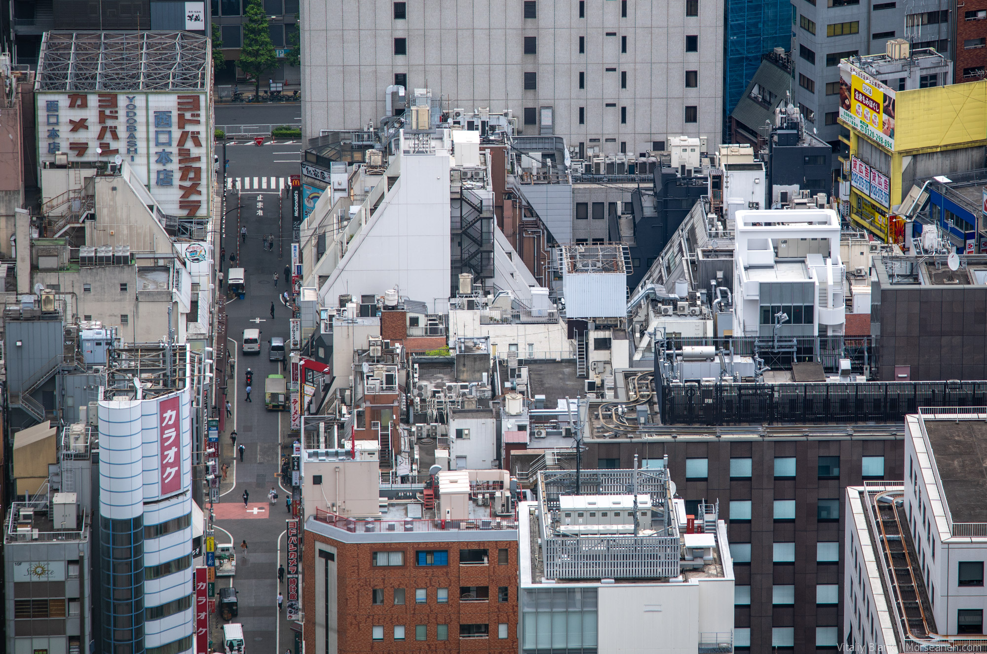 Shinjuku-Municipal-(7)