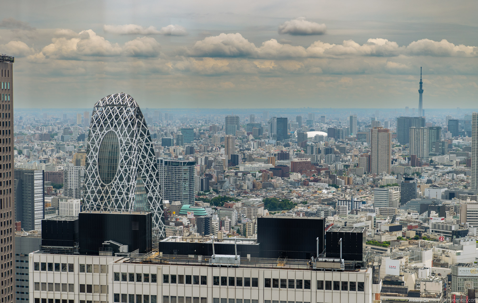 Shinjuku-Municipal-(13)