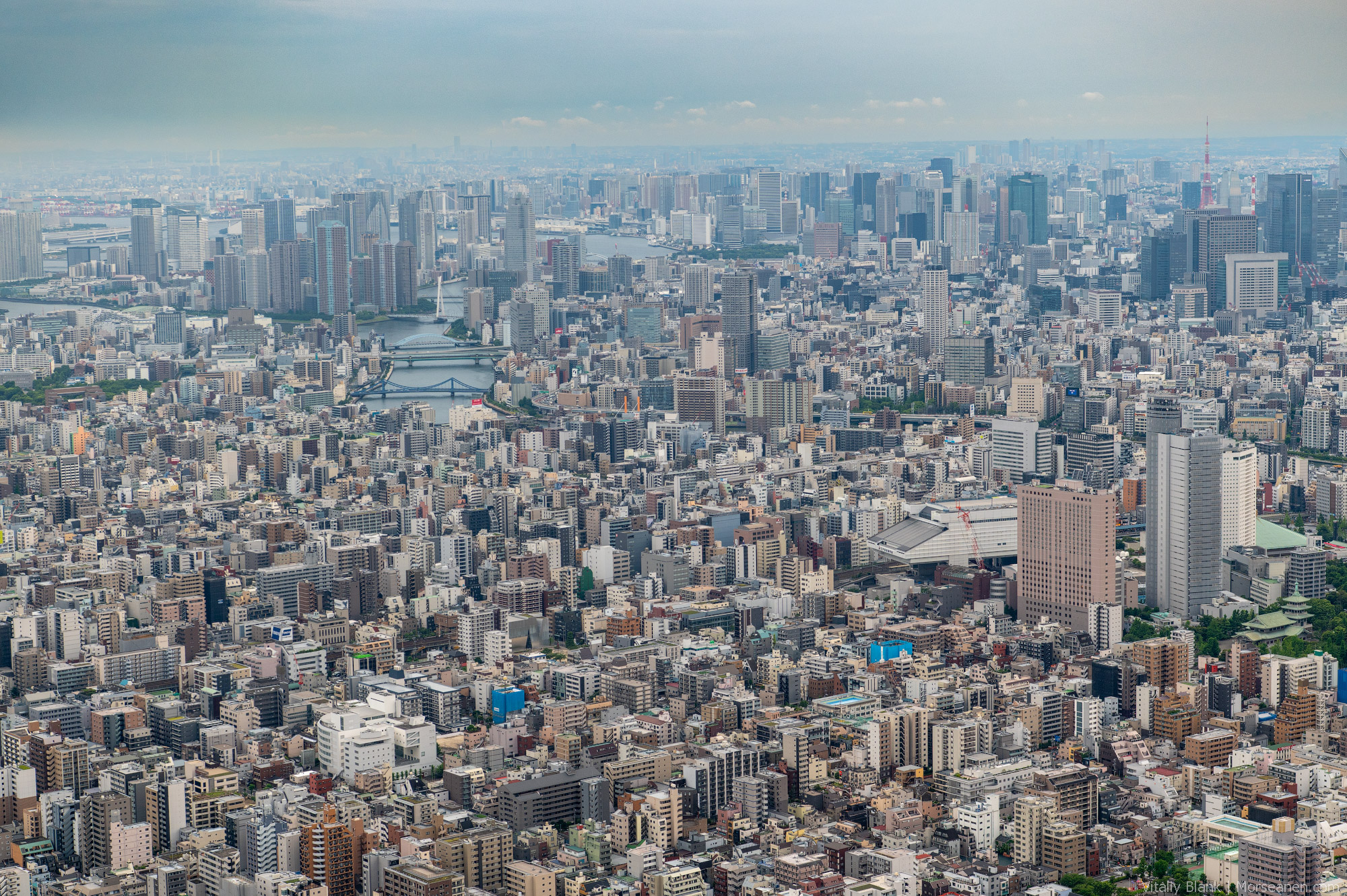 Skytree-(19)