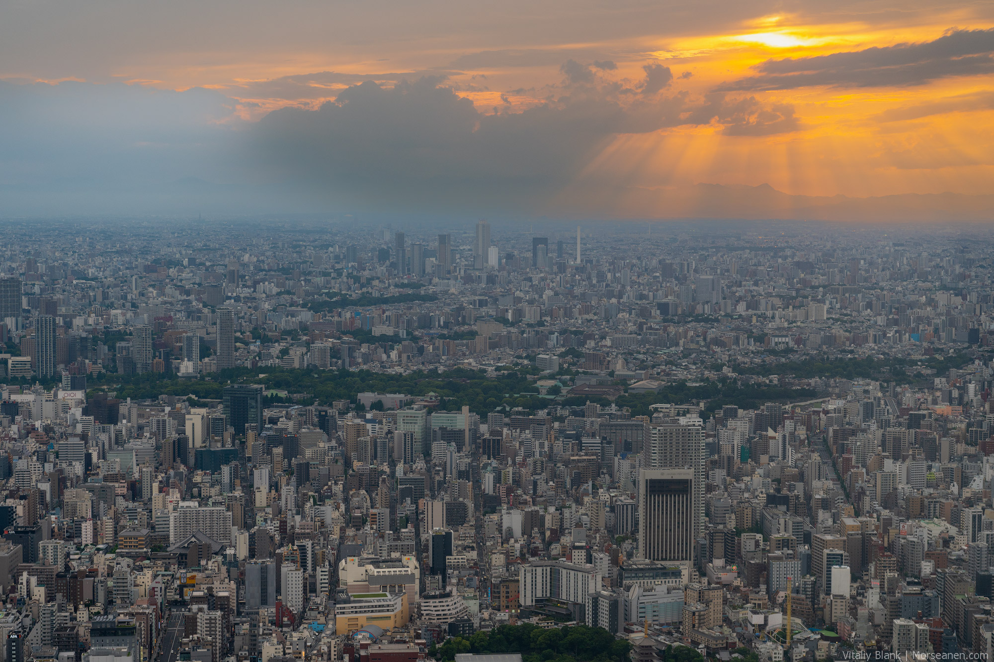 Skytree