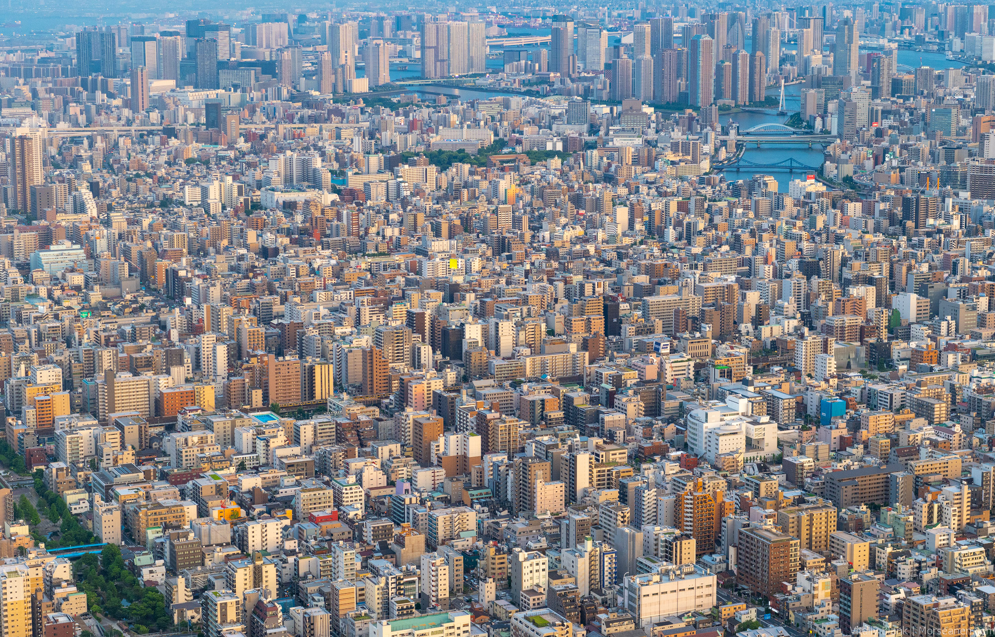 Skytree (1)