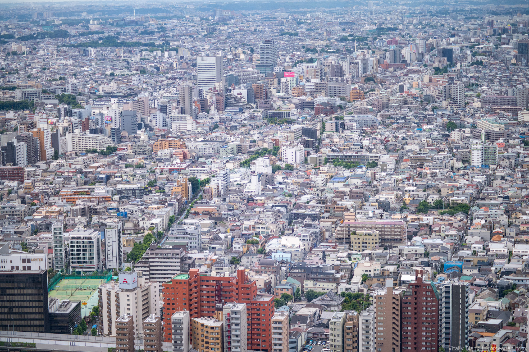 Shinjuku-Municipal-(1)