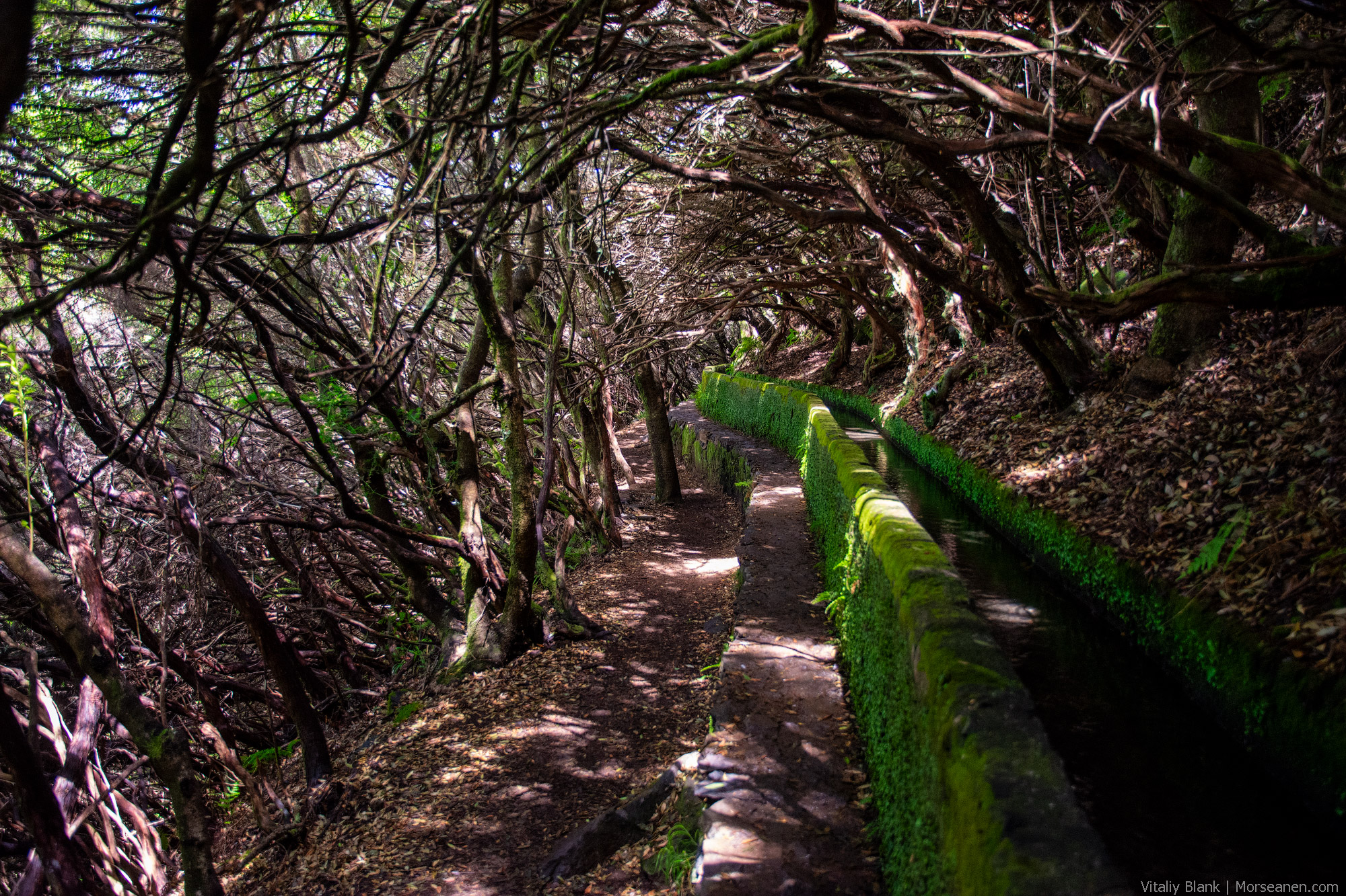 Levada-Madeira-(25)