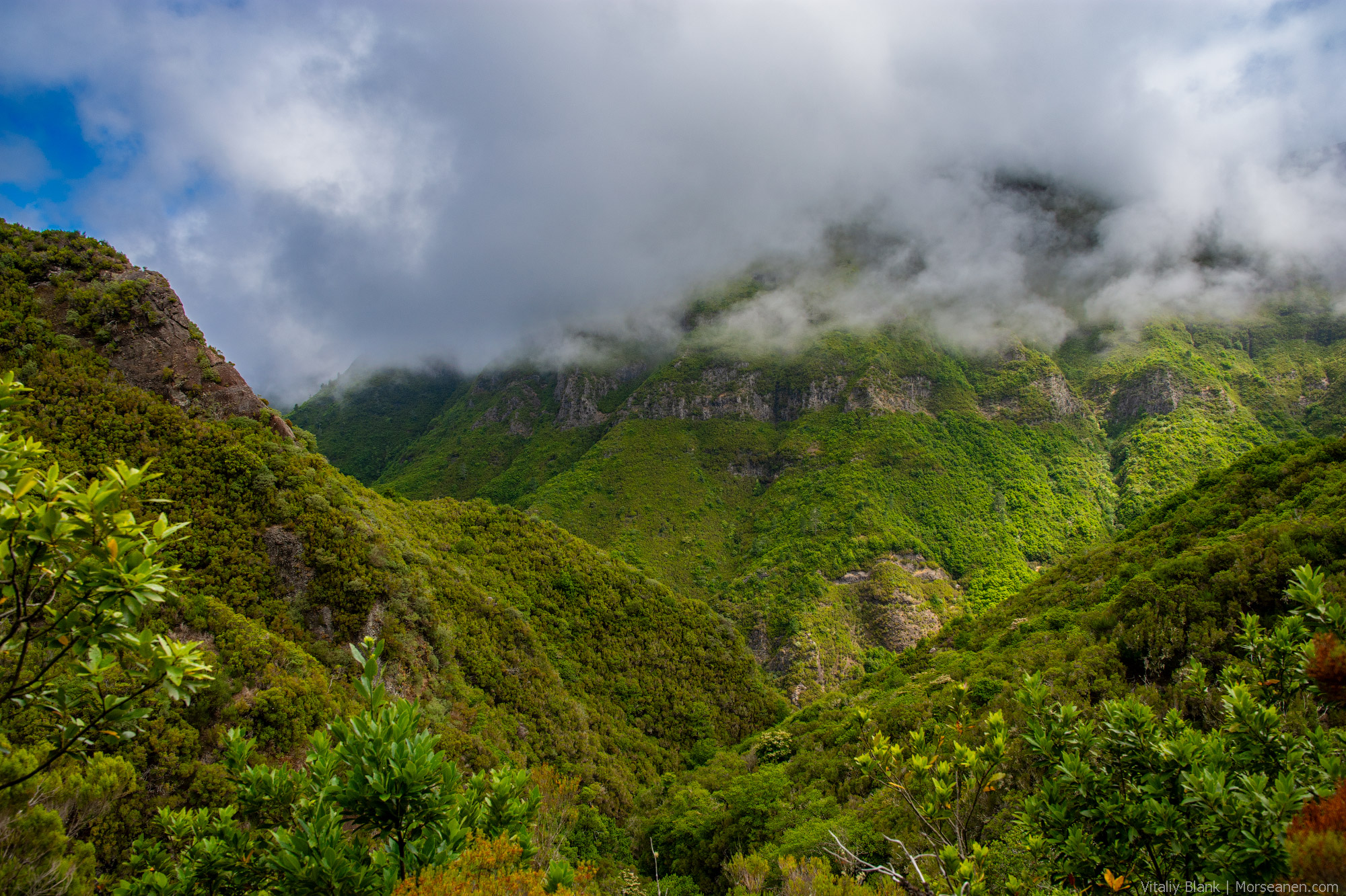 Levada-Madeira-(16)