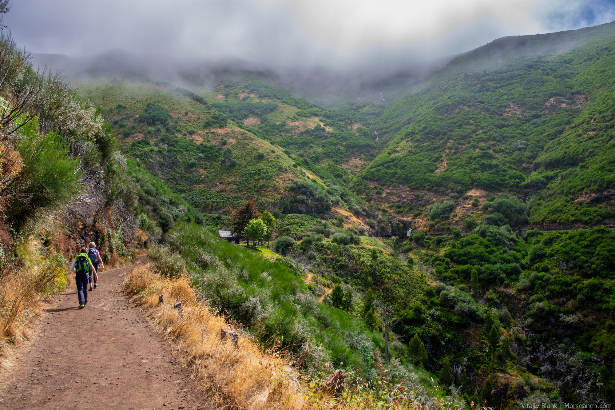 Levada-Madeira-(7)