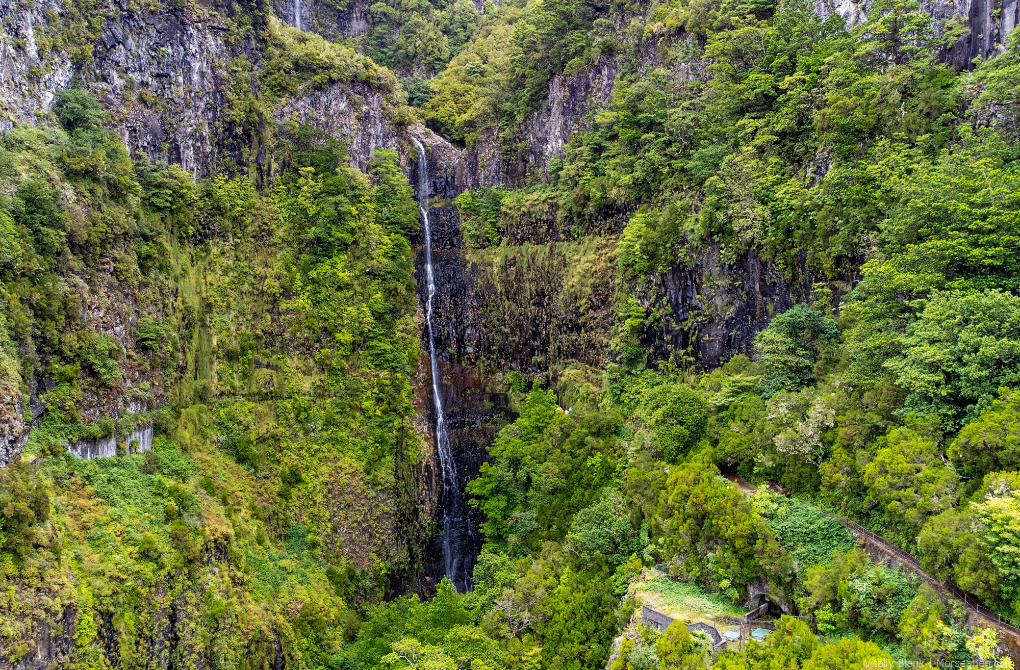 Levada-Madeira-(5)-2