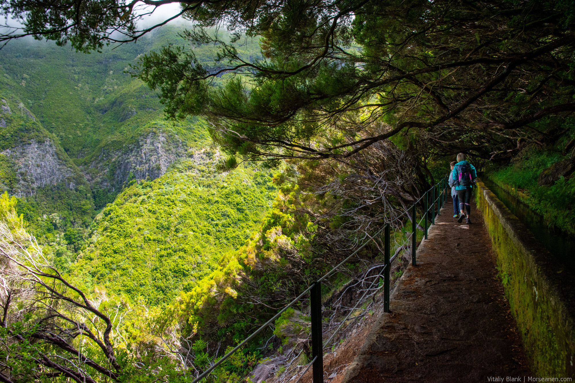 Levada-Madeira-(1)