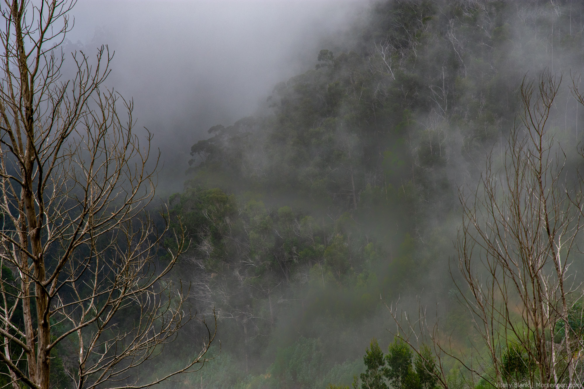 Levada-Madeira-(6)