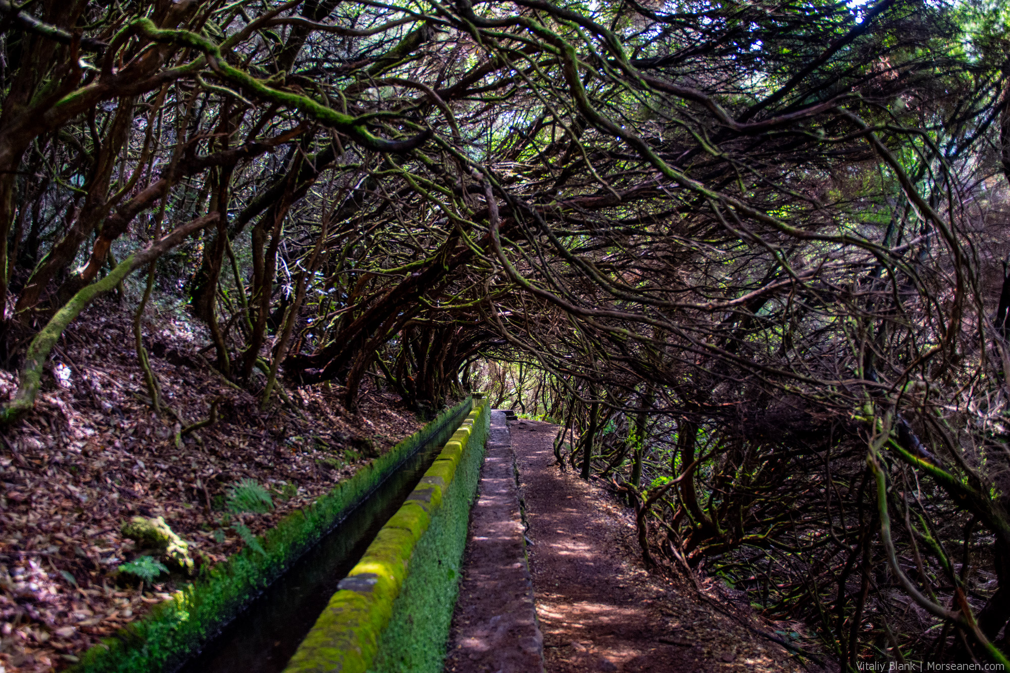 Levada-Madeira-(24)