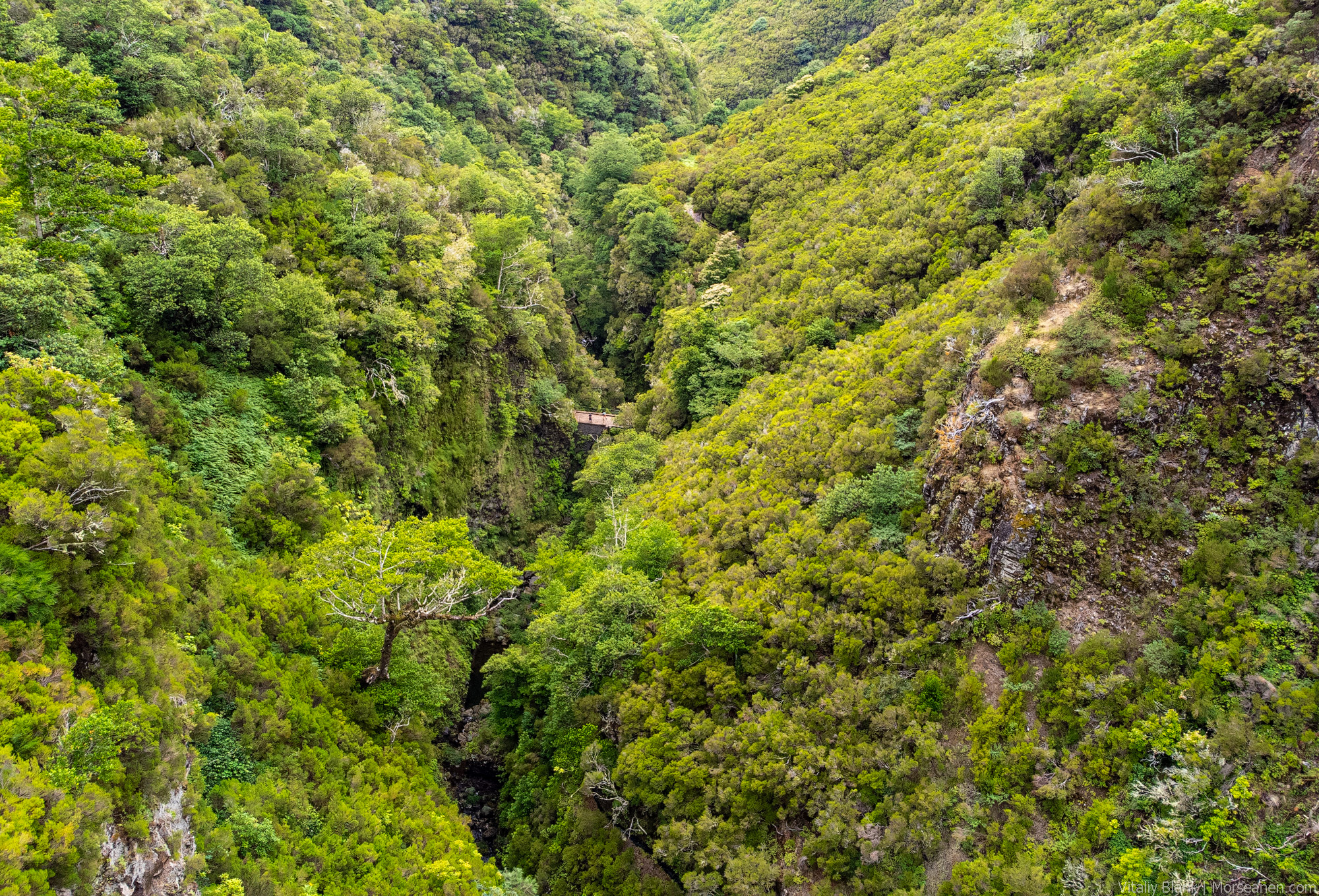 Levada-Madeira-(4)-2