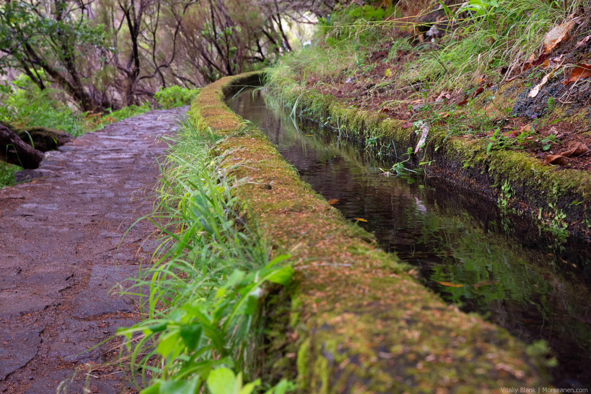 Levada-Madeira-(22)