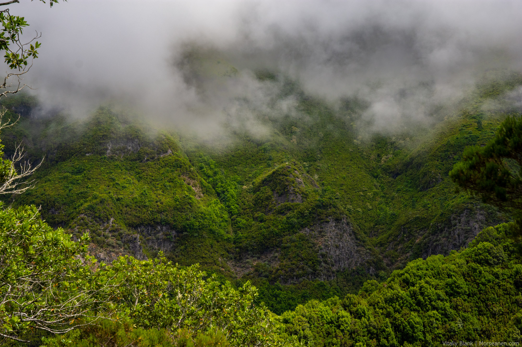 Levada-Madeira-(20)