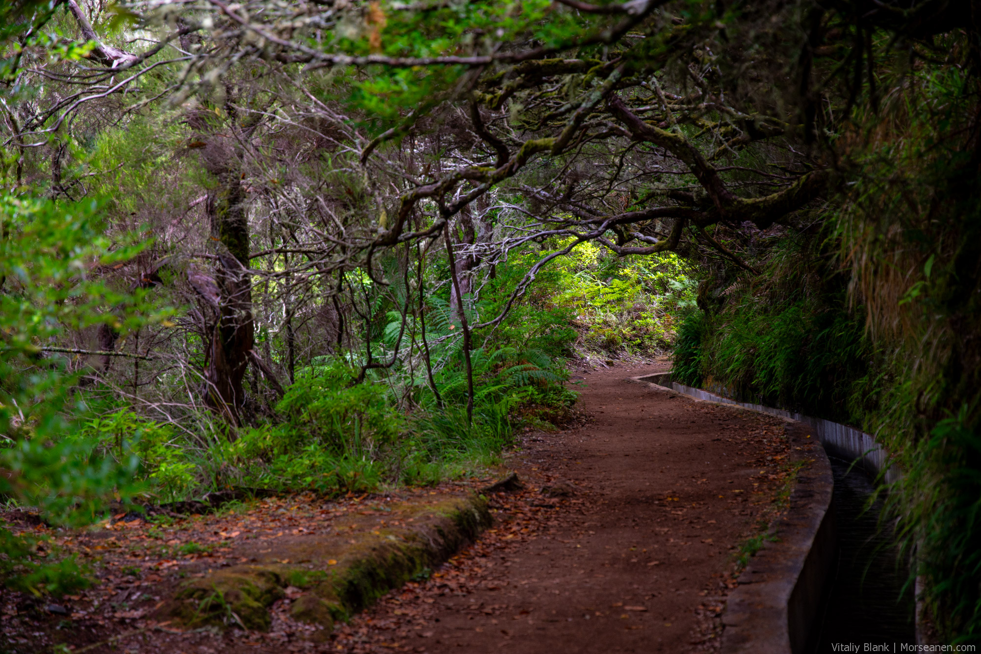 Levada-Madeira-(17)