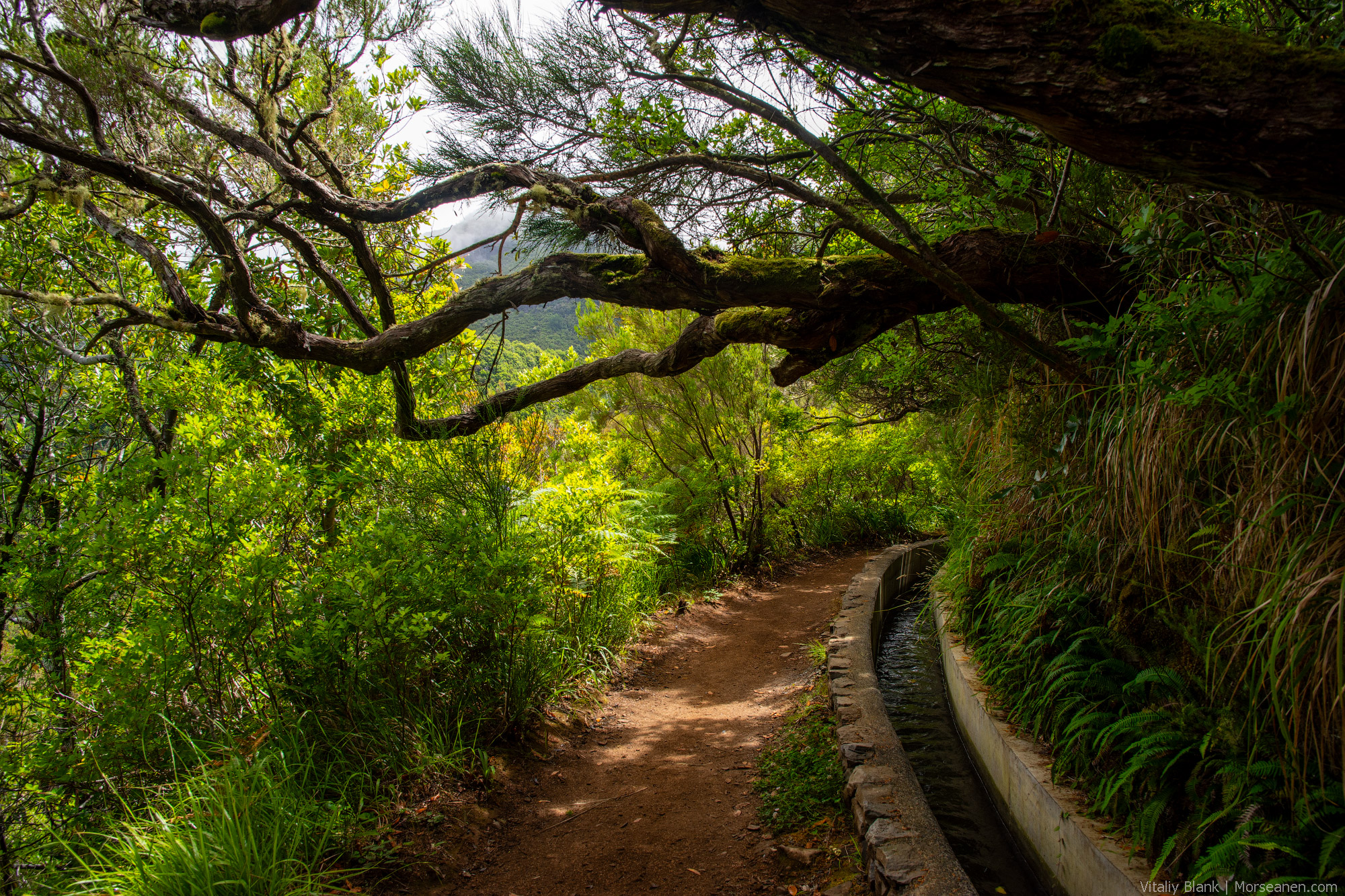 Levada-Madeira-(18)