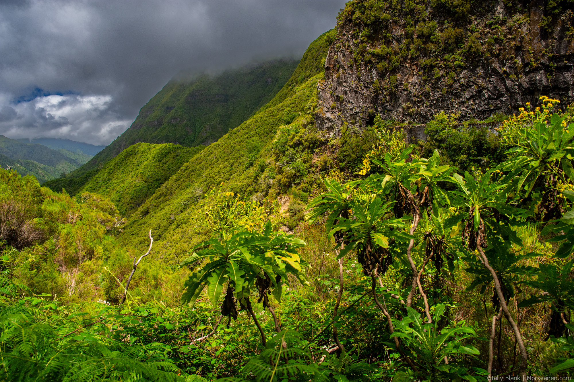 Levada-Madeira-(5)