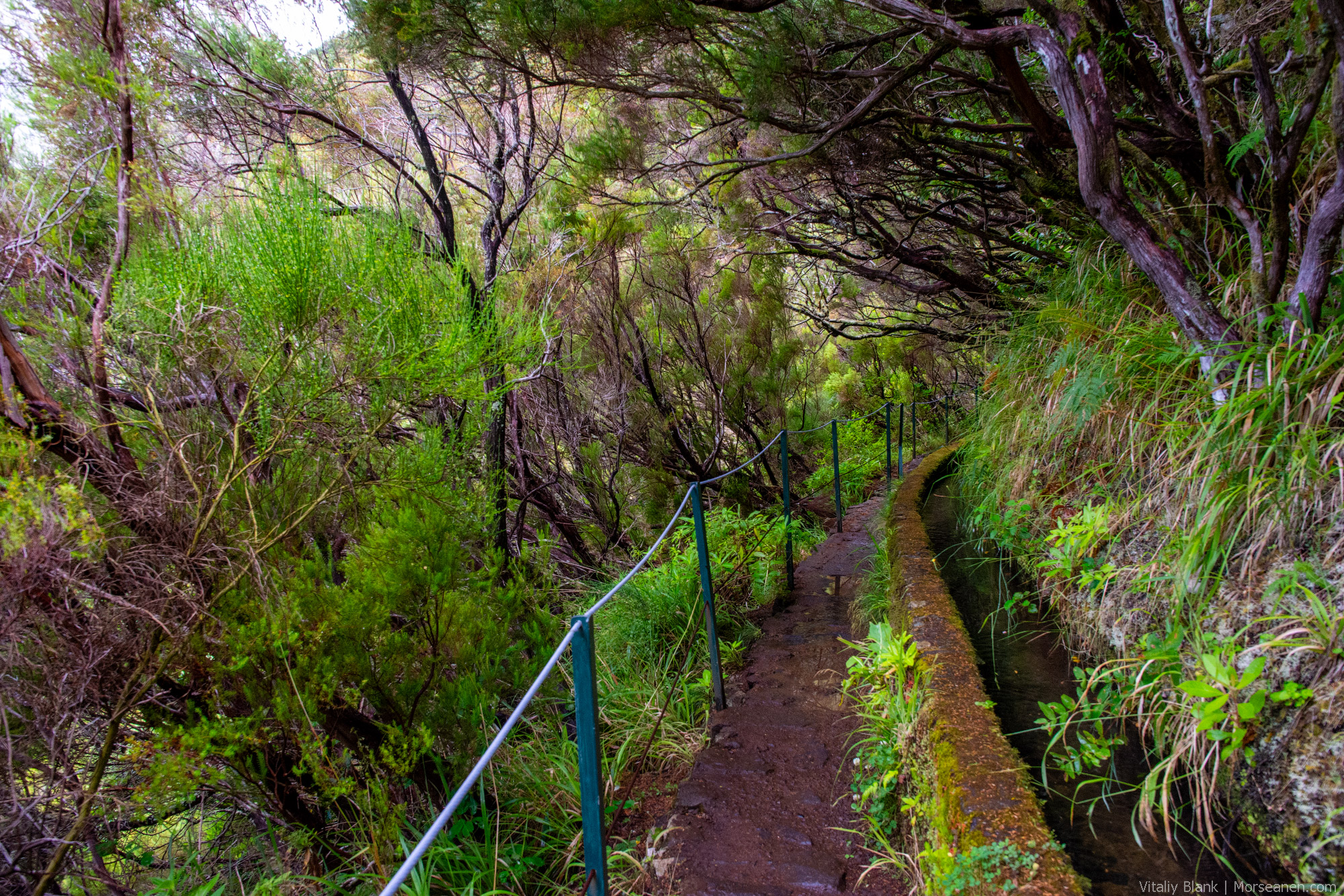 Levada-Madeira-(23)