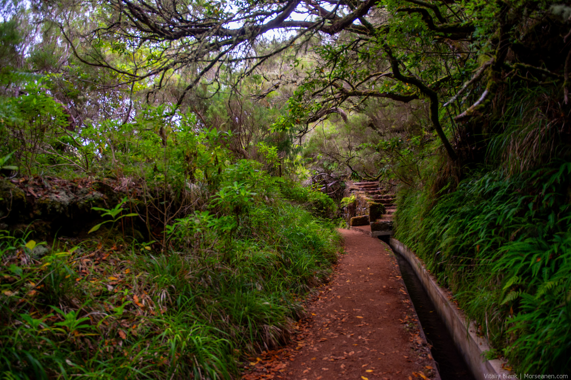 Levada-Madeira-(14)