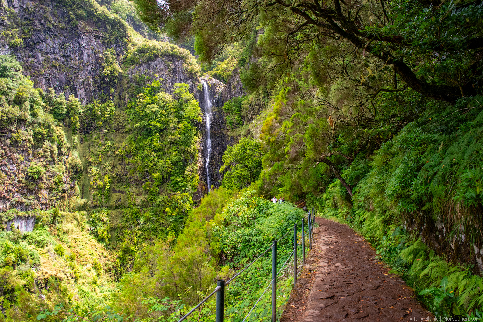 Levada-Madeira-(4)