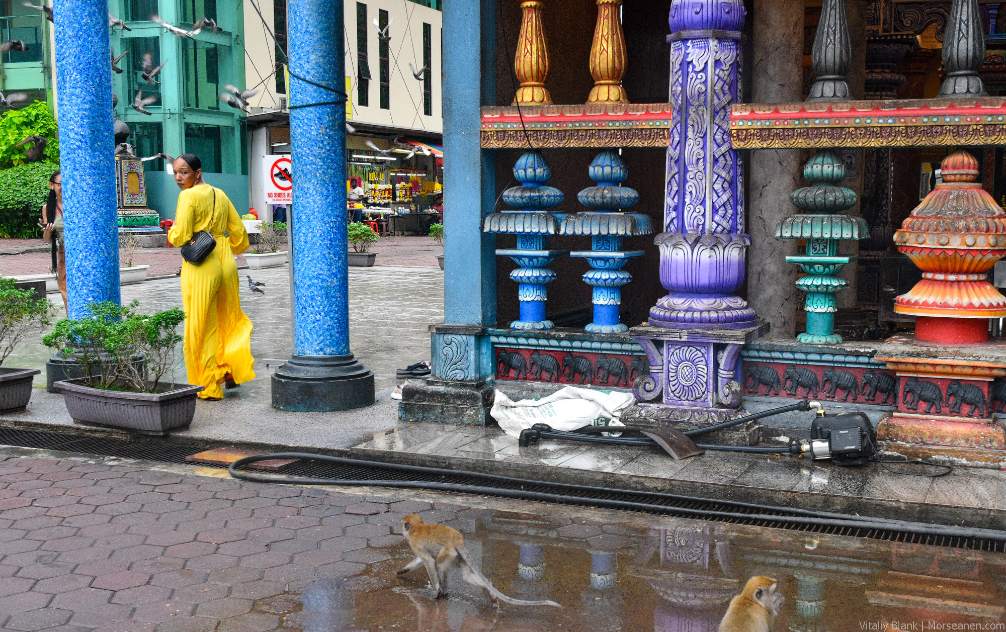 KL-Batu-Caves-(33)