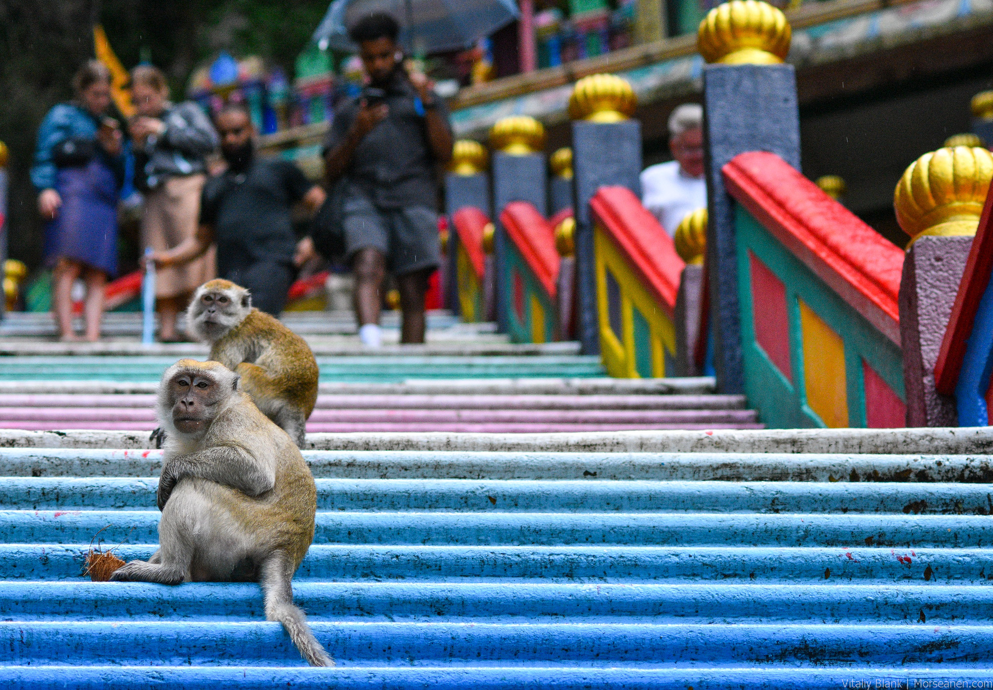 KL-Batu-Caves-(15)