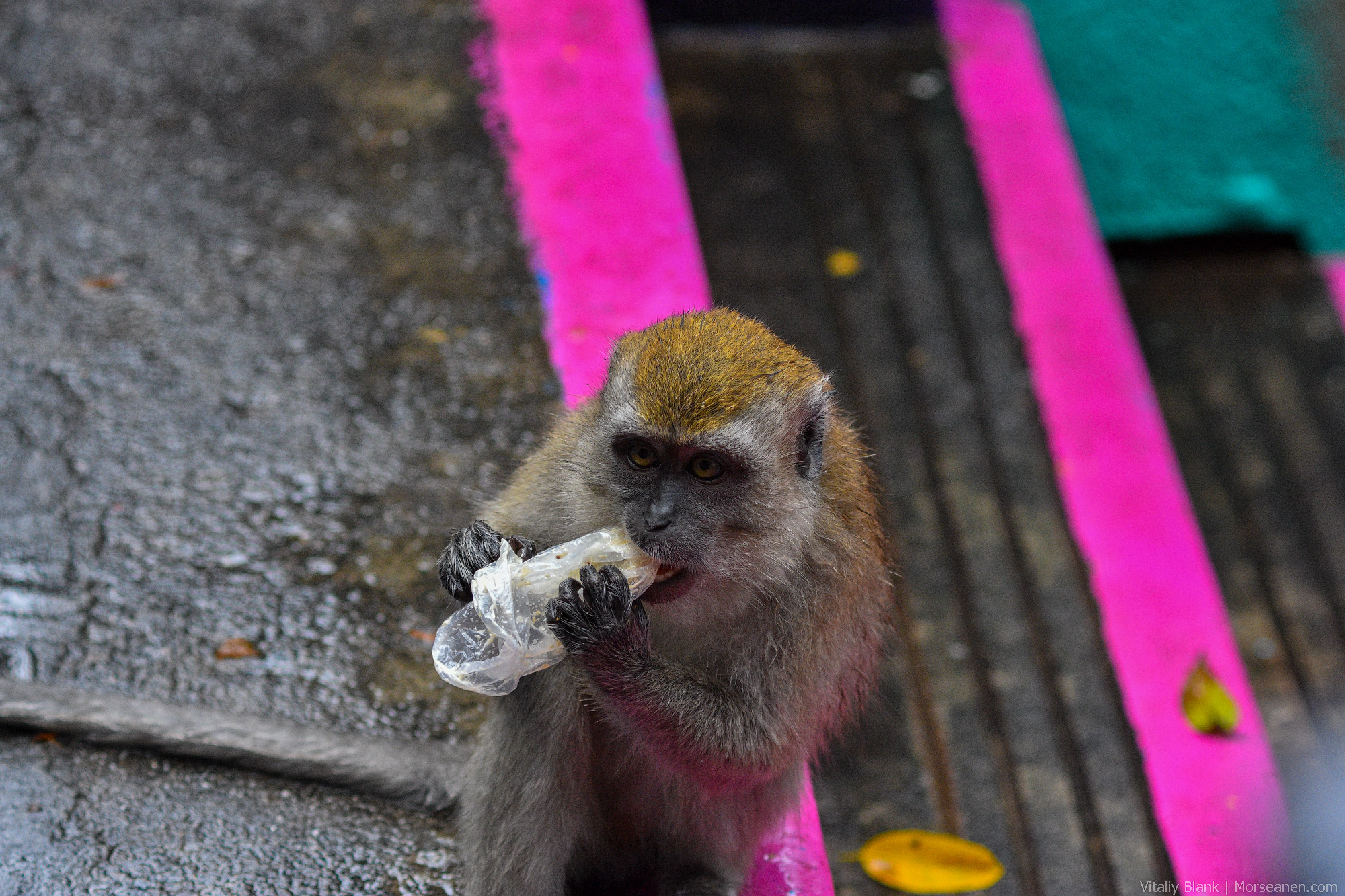 KL-Batu-Caves-(17)