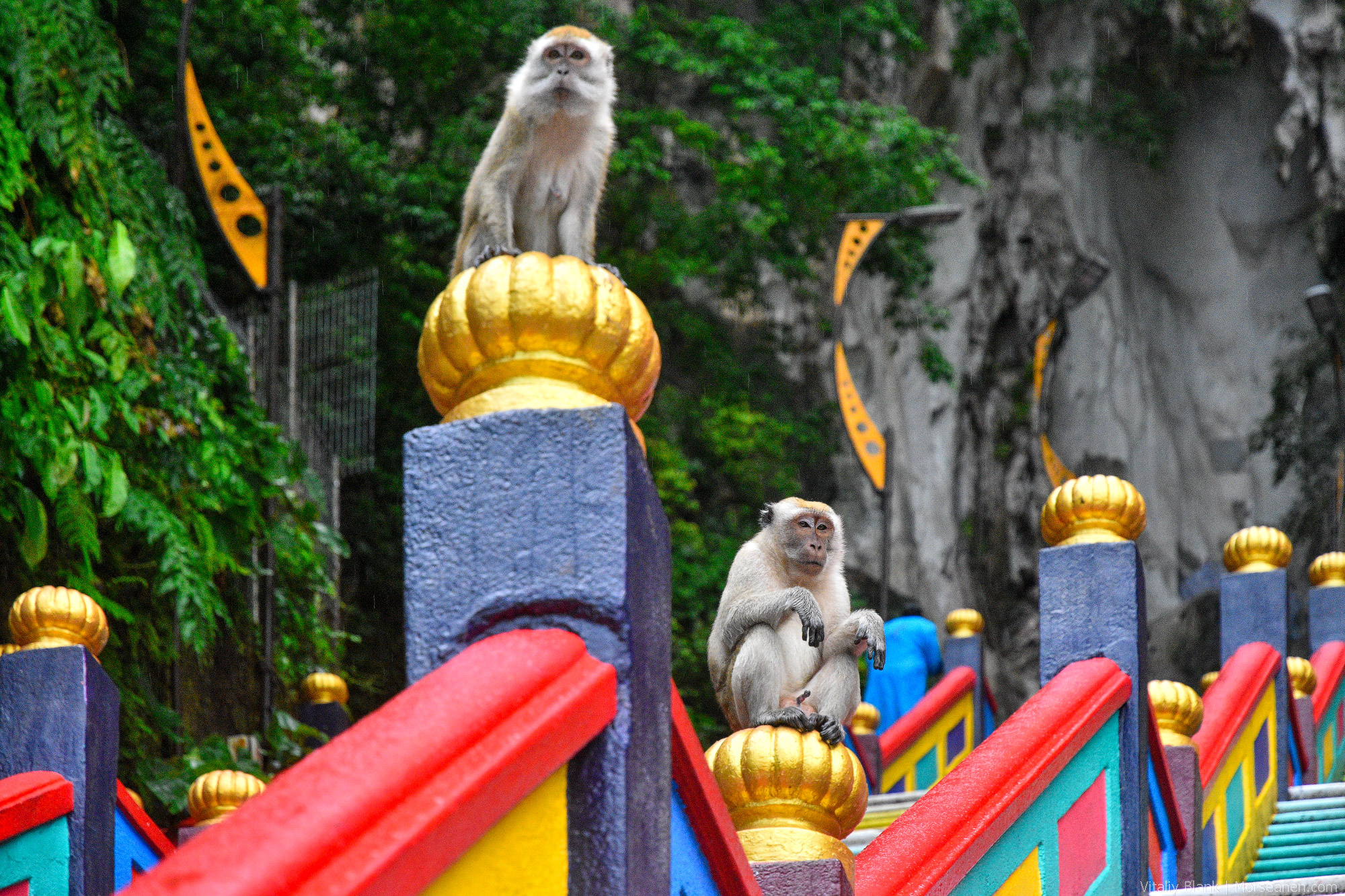 KL-Batu-Caves-(13)