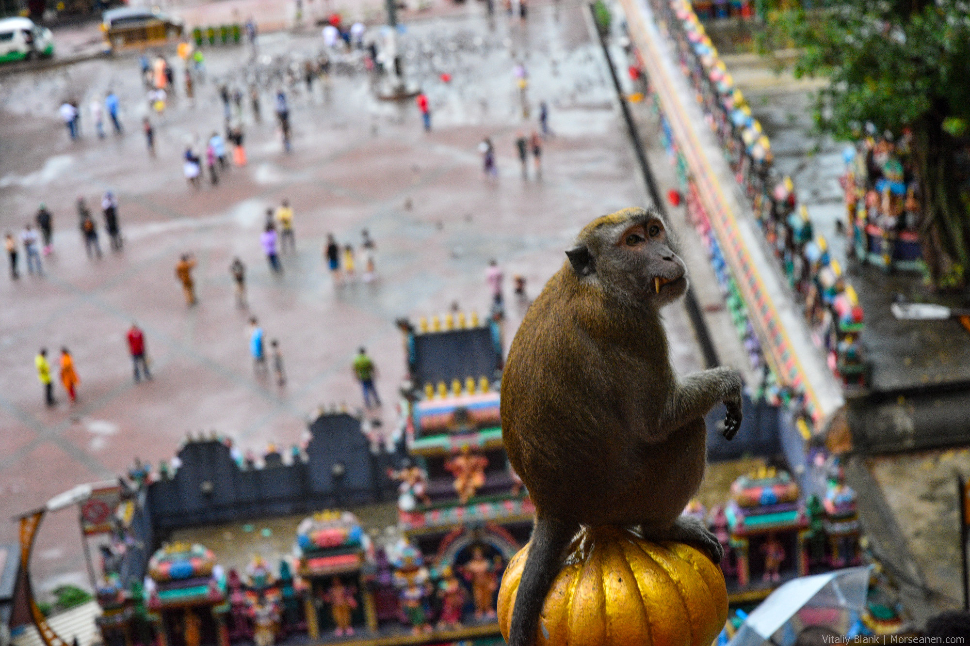 KL-Batu-Caves-(5)