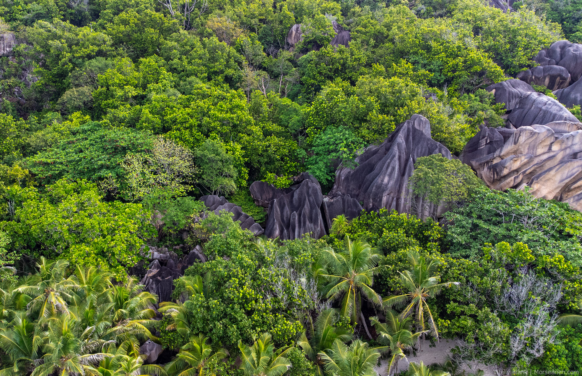 Seychelles-Intro-(20)