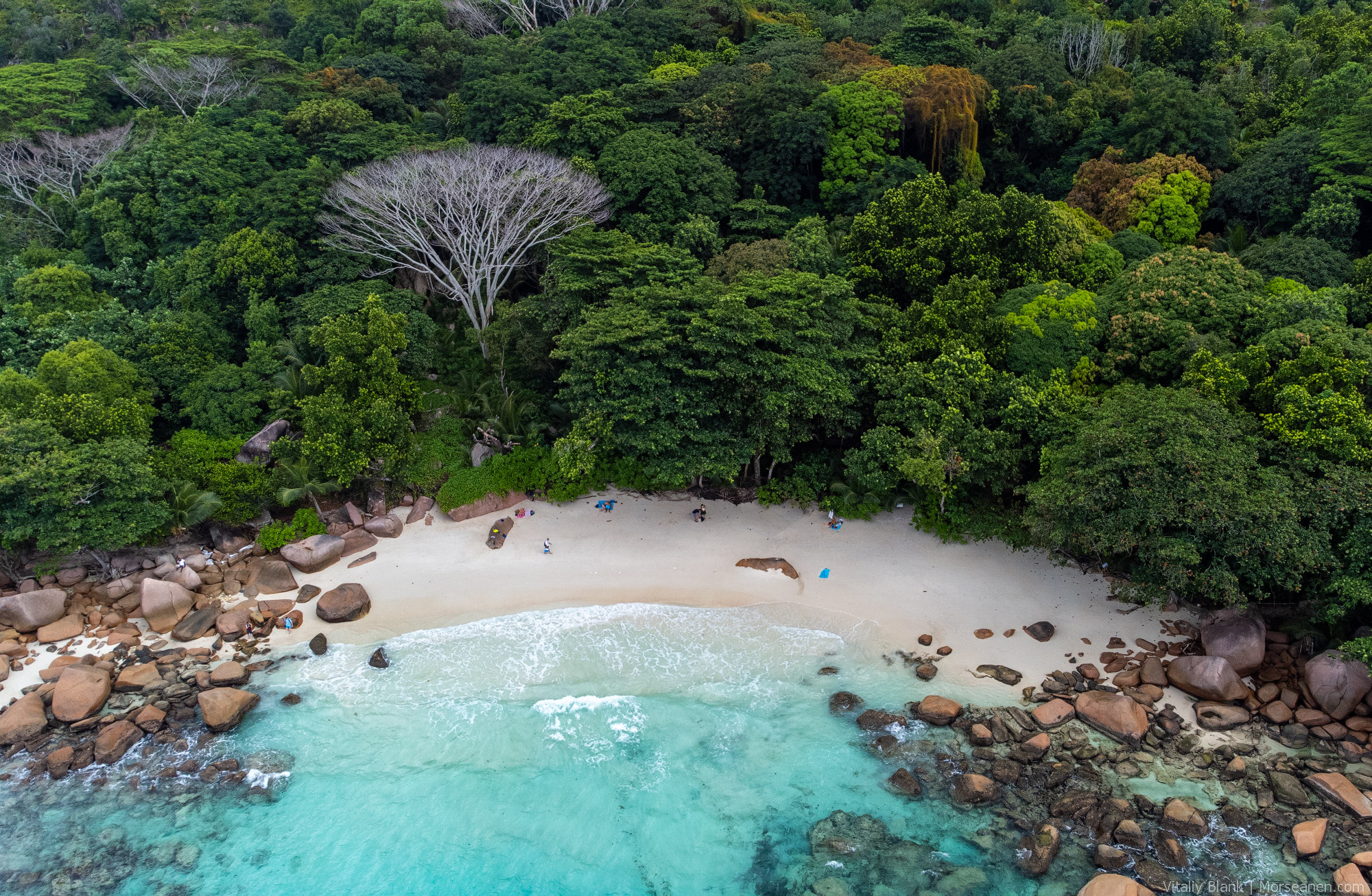 Seychelles-Intro-(36)