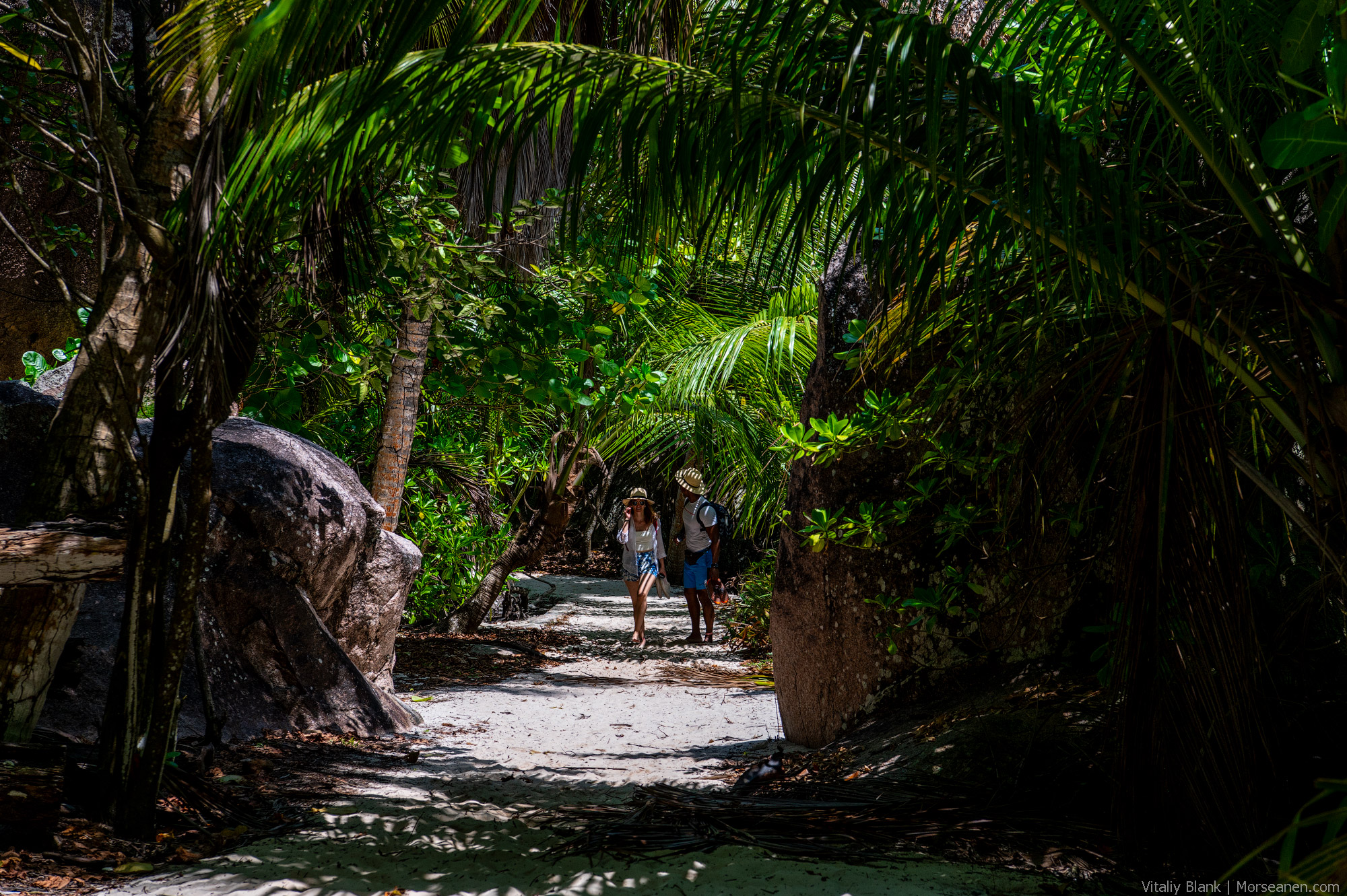 Seychelles-Intro-Nikon-(54)