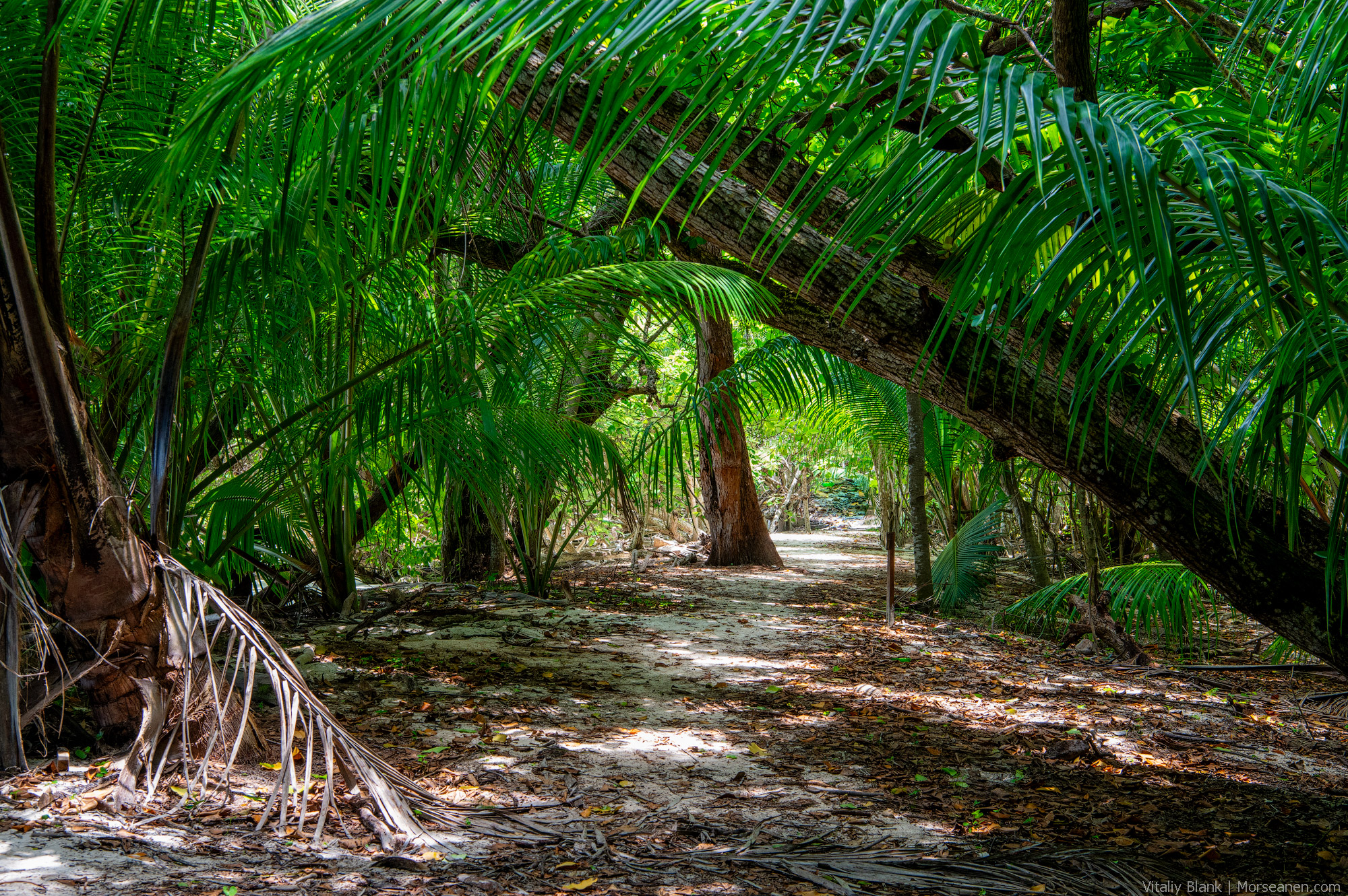 Seychelles-Intro-Nikon-(15)