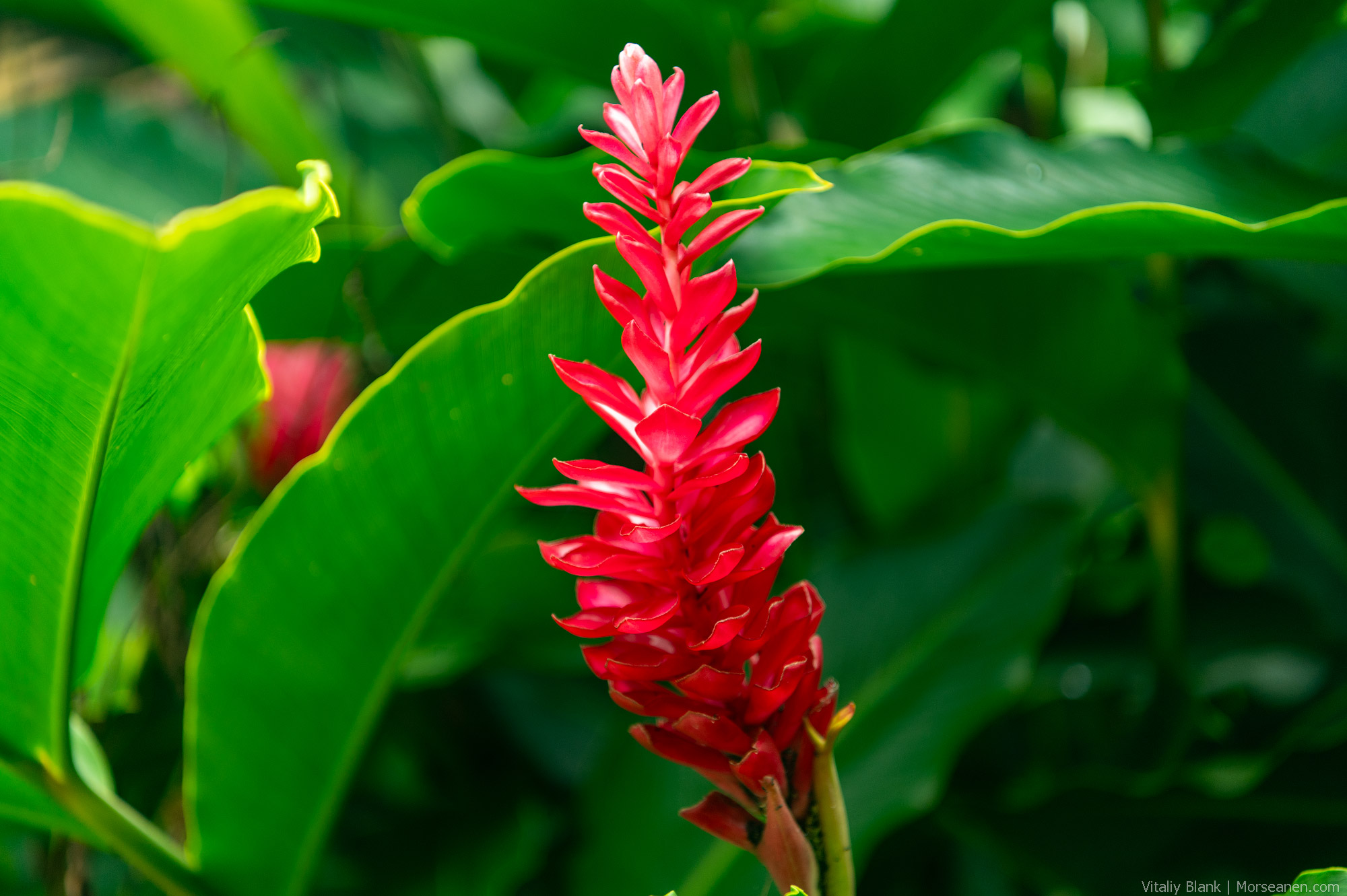 Seychelles-Intro-Nikon-(1)-2