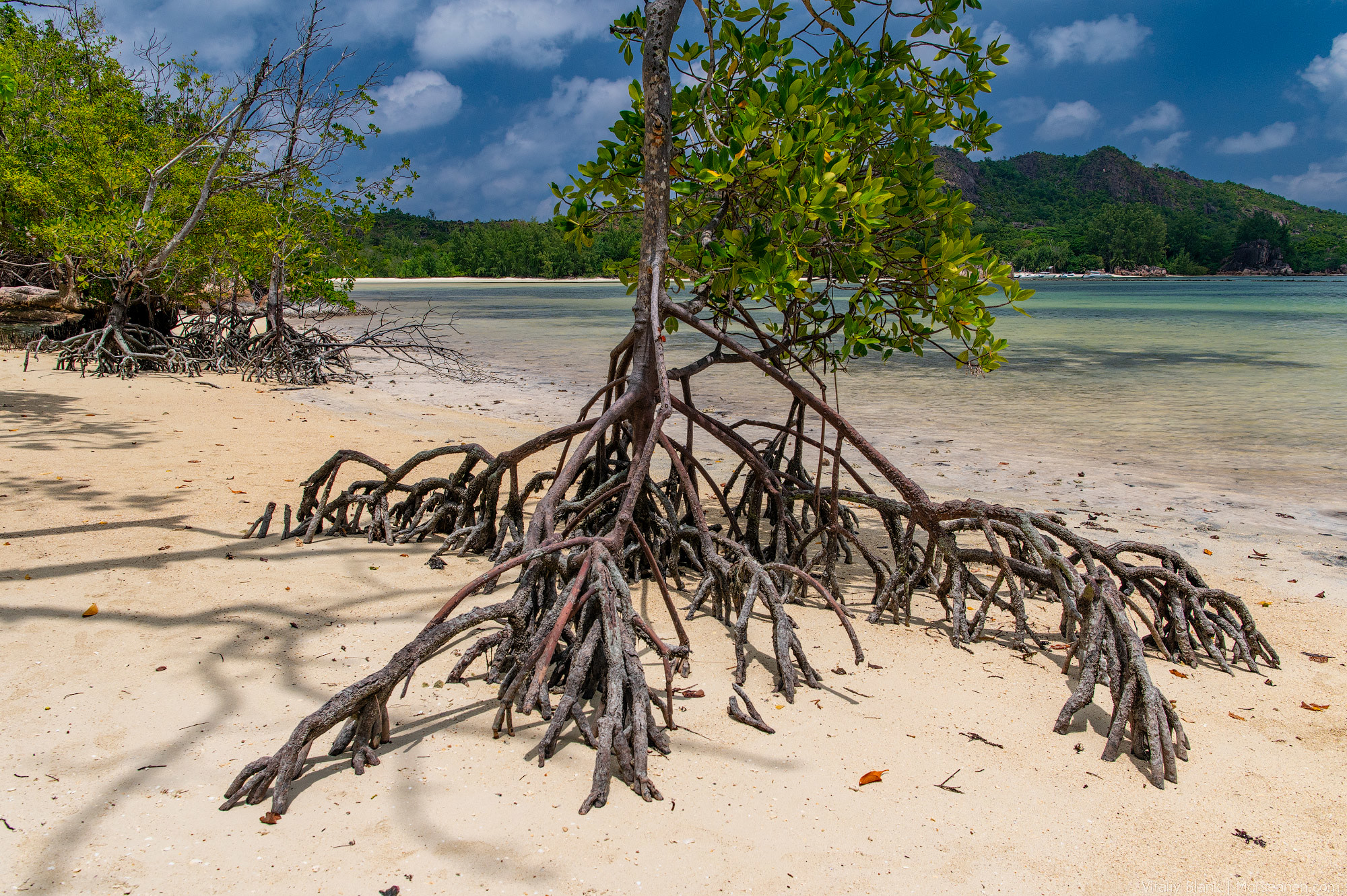 Seychelles-Intro-Nikon-(16)