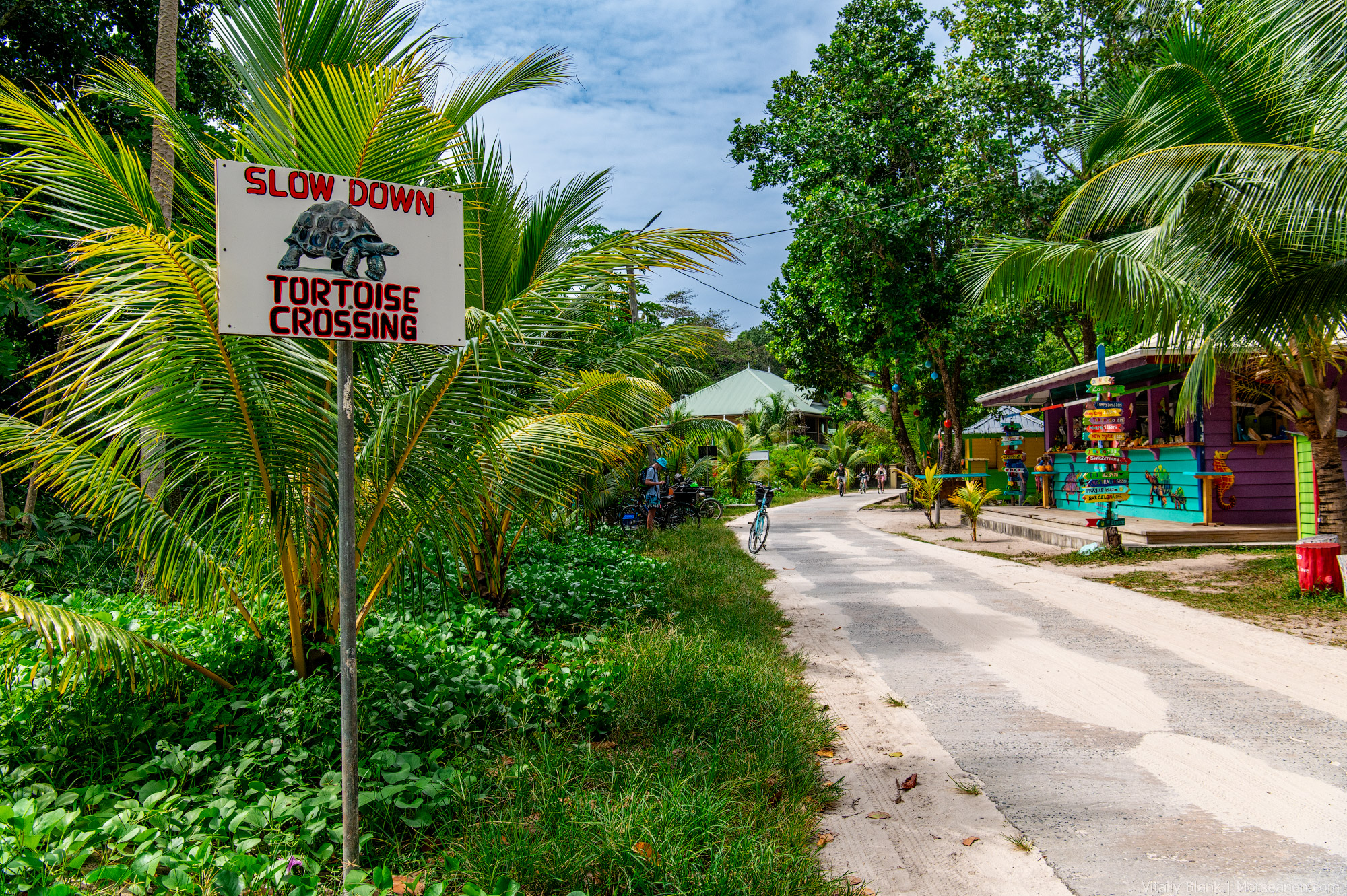 Seychelles-Intro-Nikon-(64)