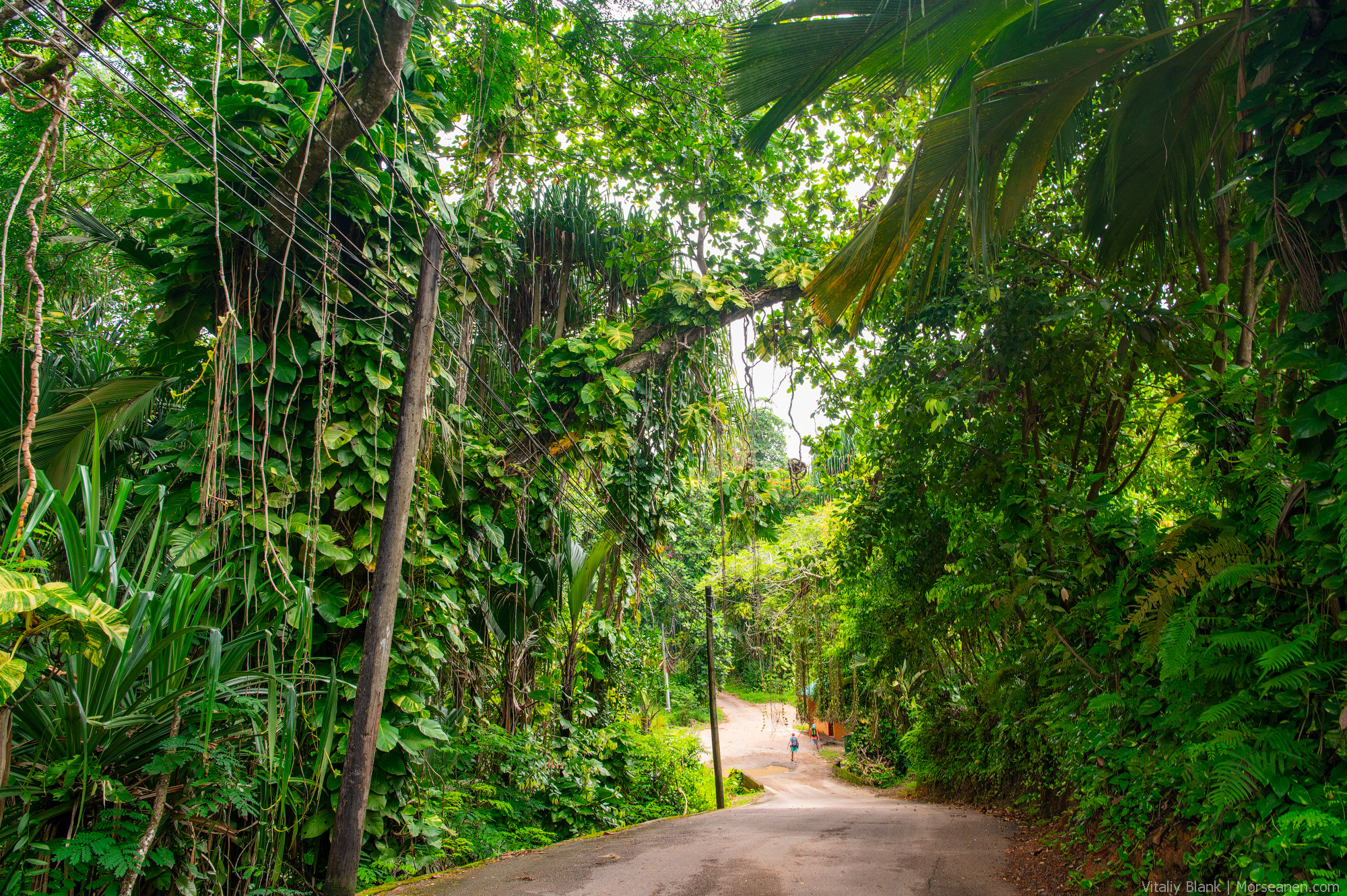 Seychelles-Intro-Nikon-(3)-2