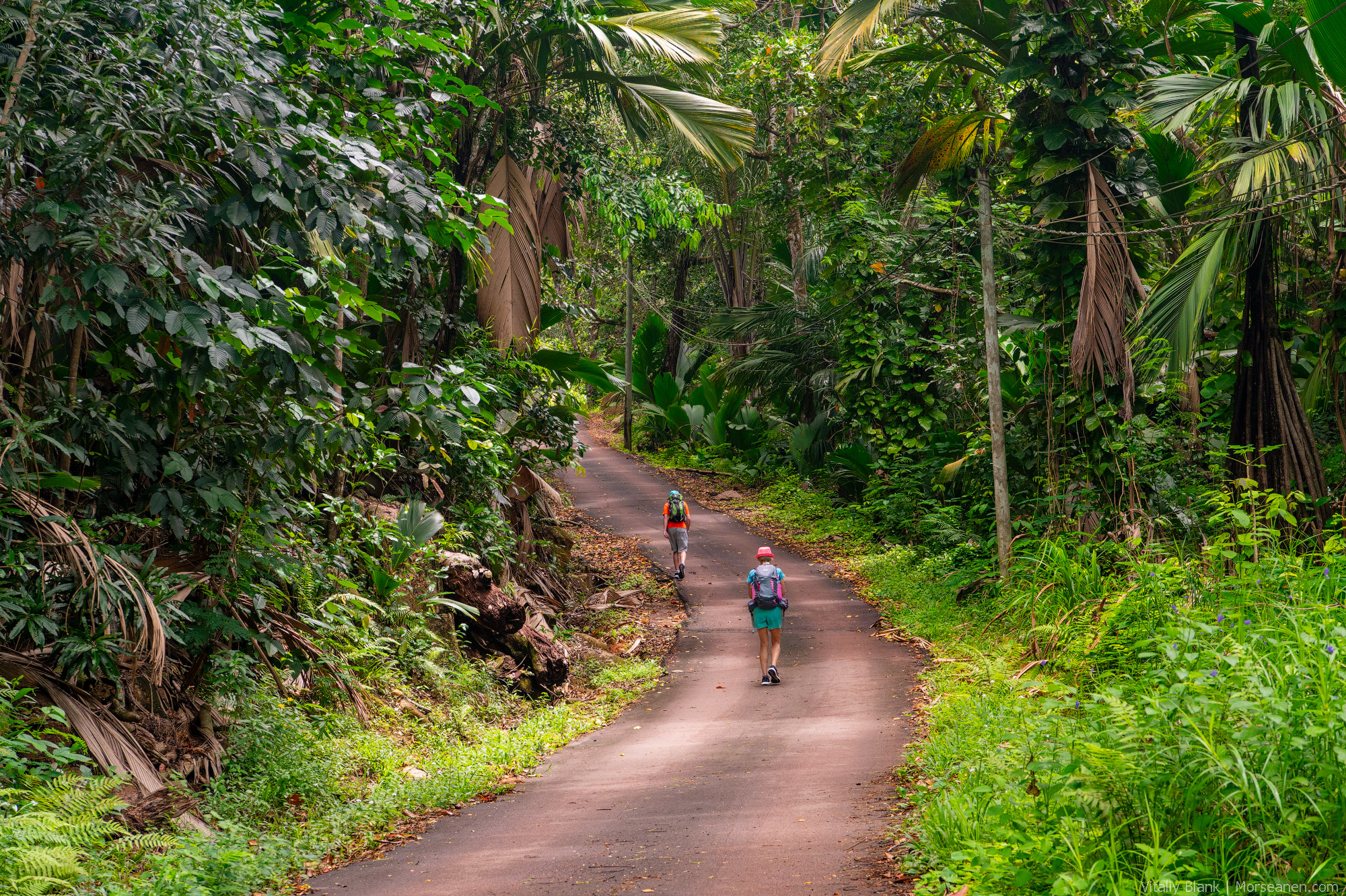 Seychelles-Intro-Nikon-(2)-2