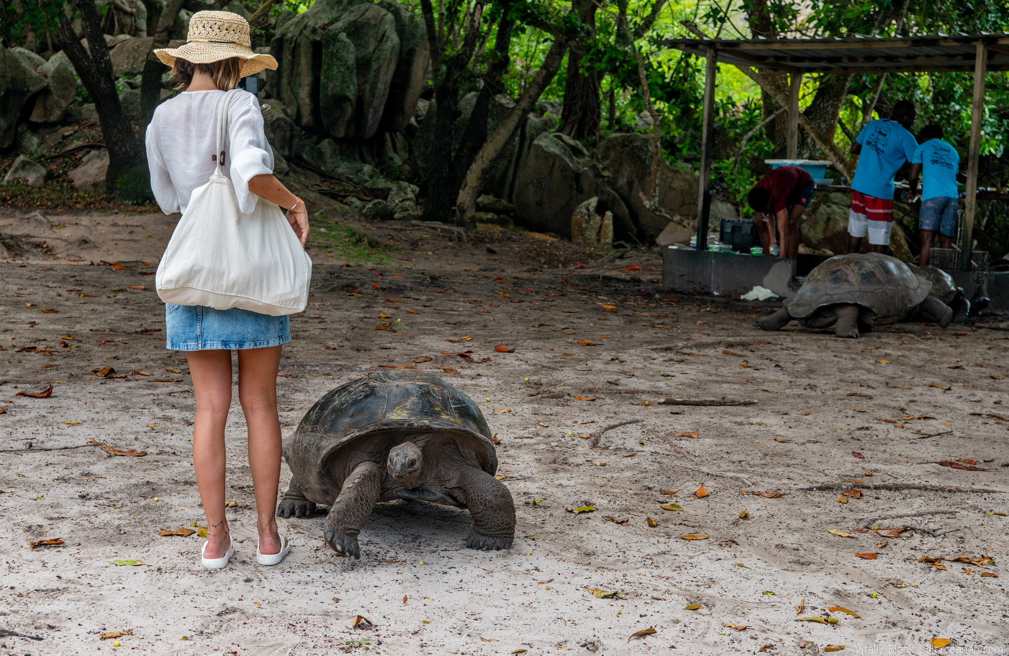 Seychelles-Intro-Nikon-(14)