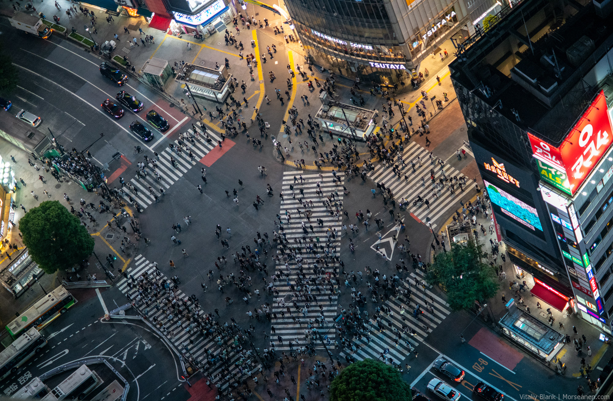 Shibuya-Scramble (2)