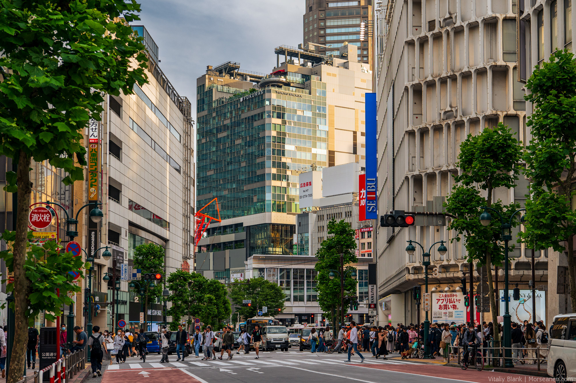 Shibuya-Observation-cafe