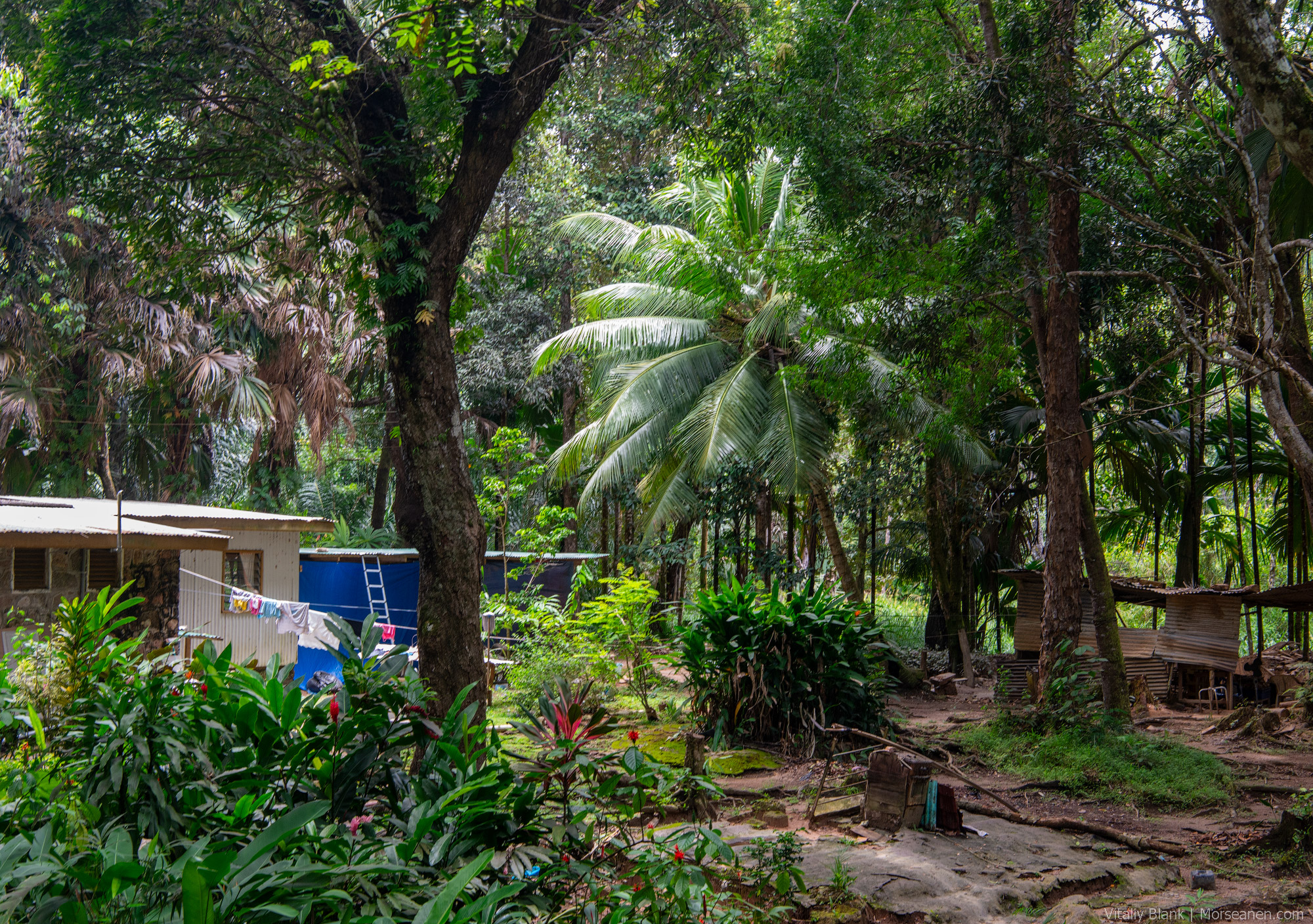 Praslin-Local-Houses-(1)