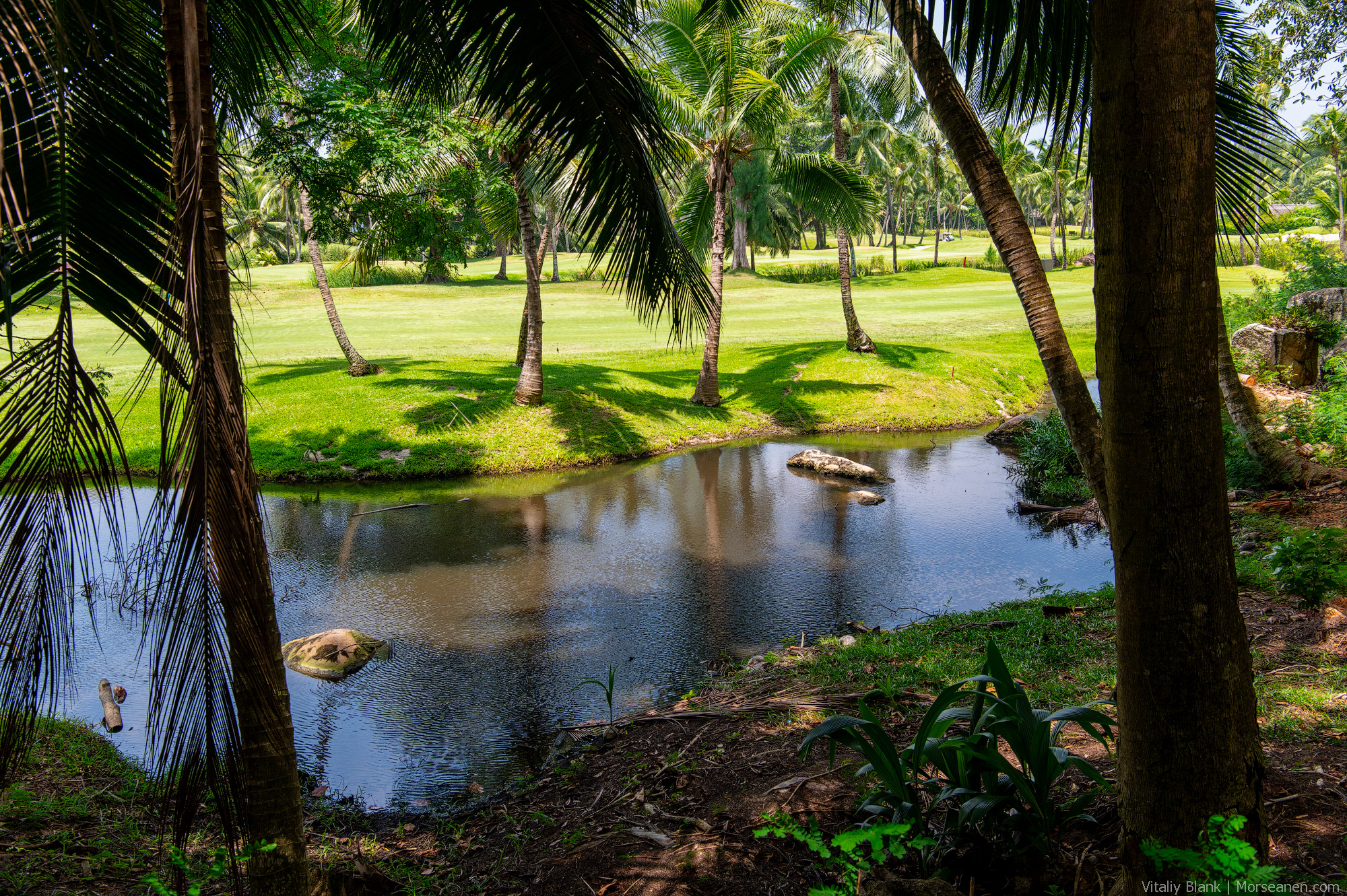 Praslin-Lemuria-(2)