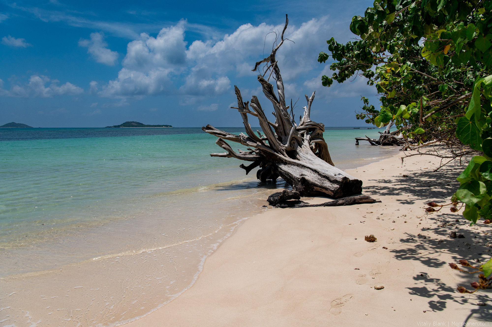 Praslin-Anse-Grande-(2)