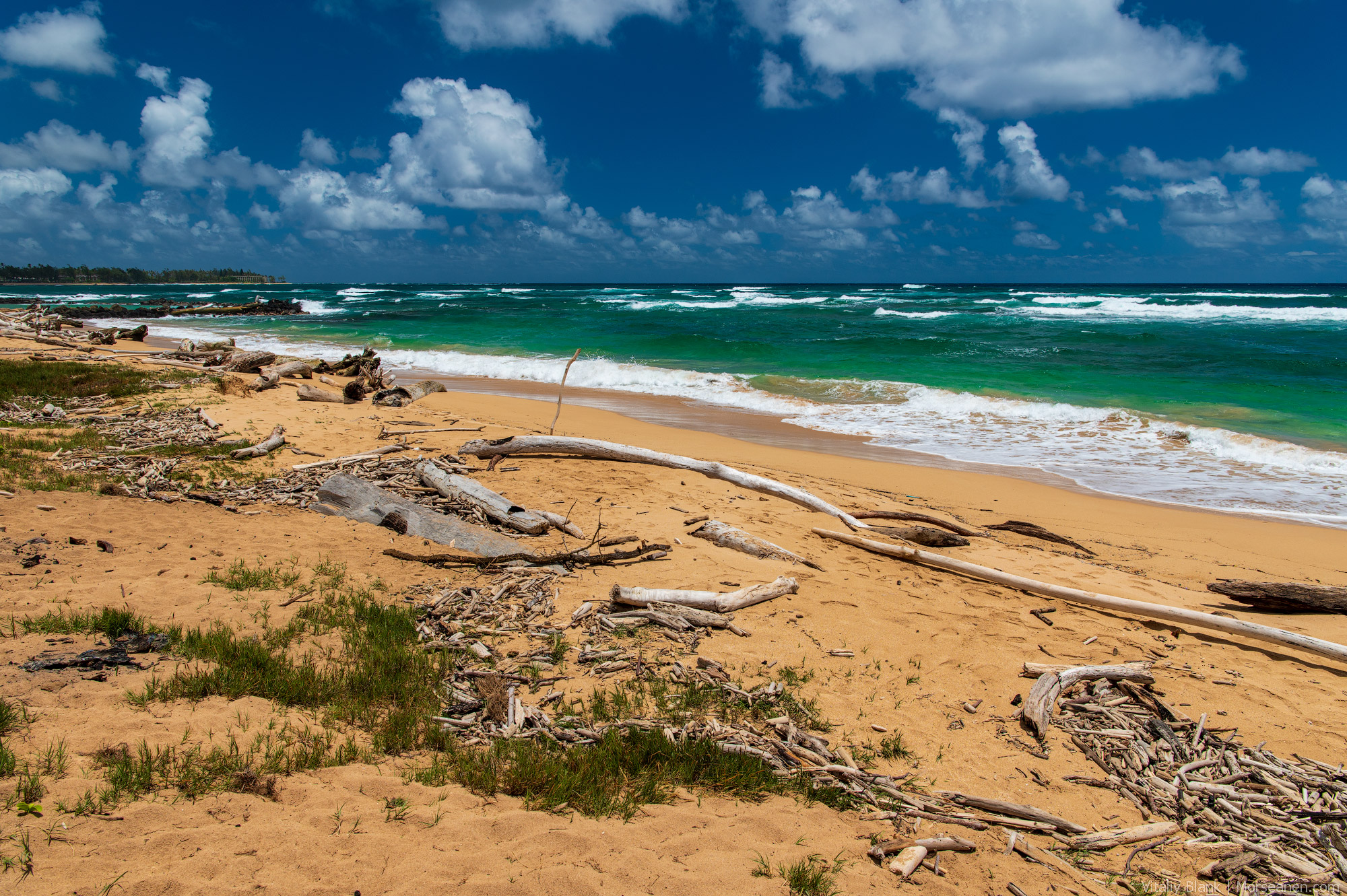 Hawaii-Beach-(18)