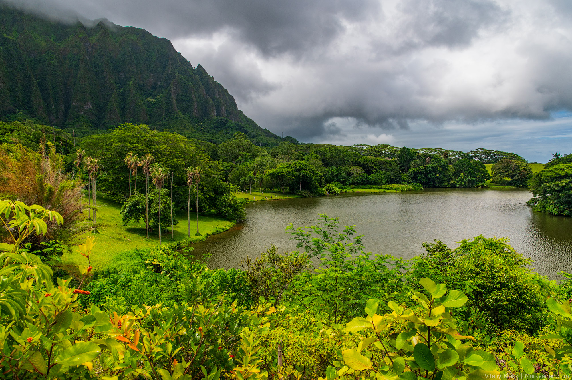 Hawaii-Nature-(34)