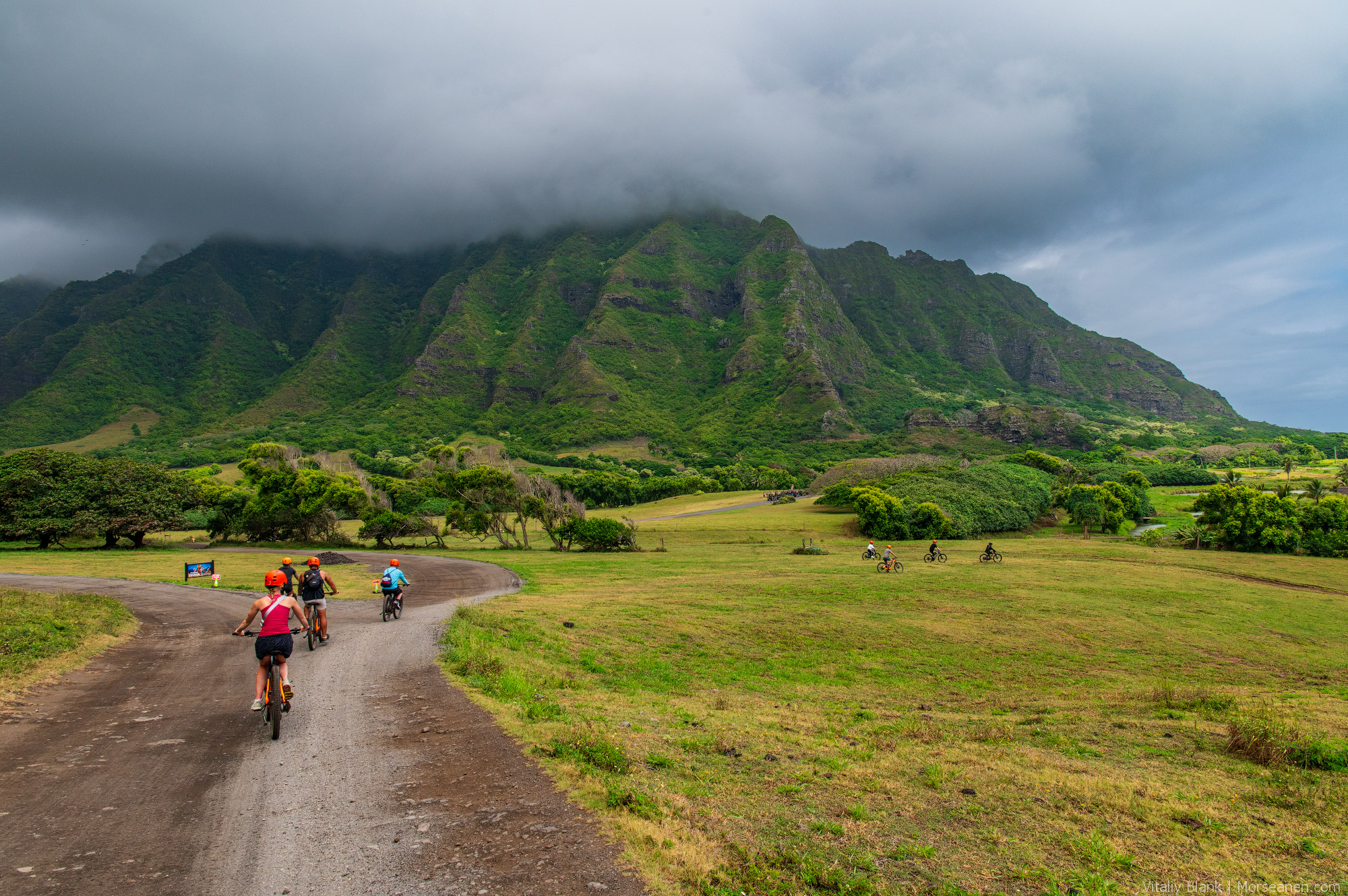 Hawaii-Nature-(46)